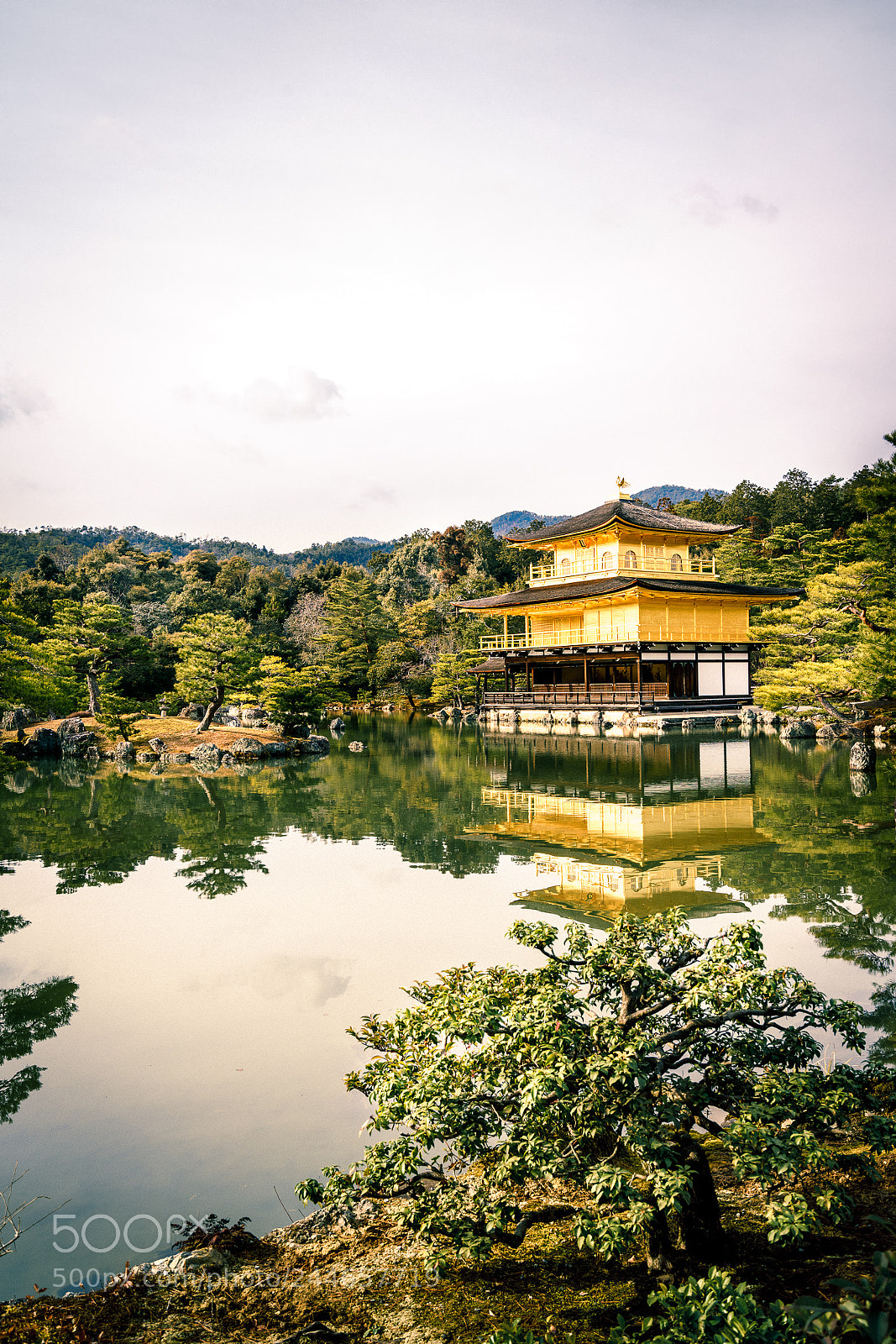 Sony a7R III sample photo. Golden photography