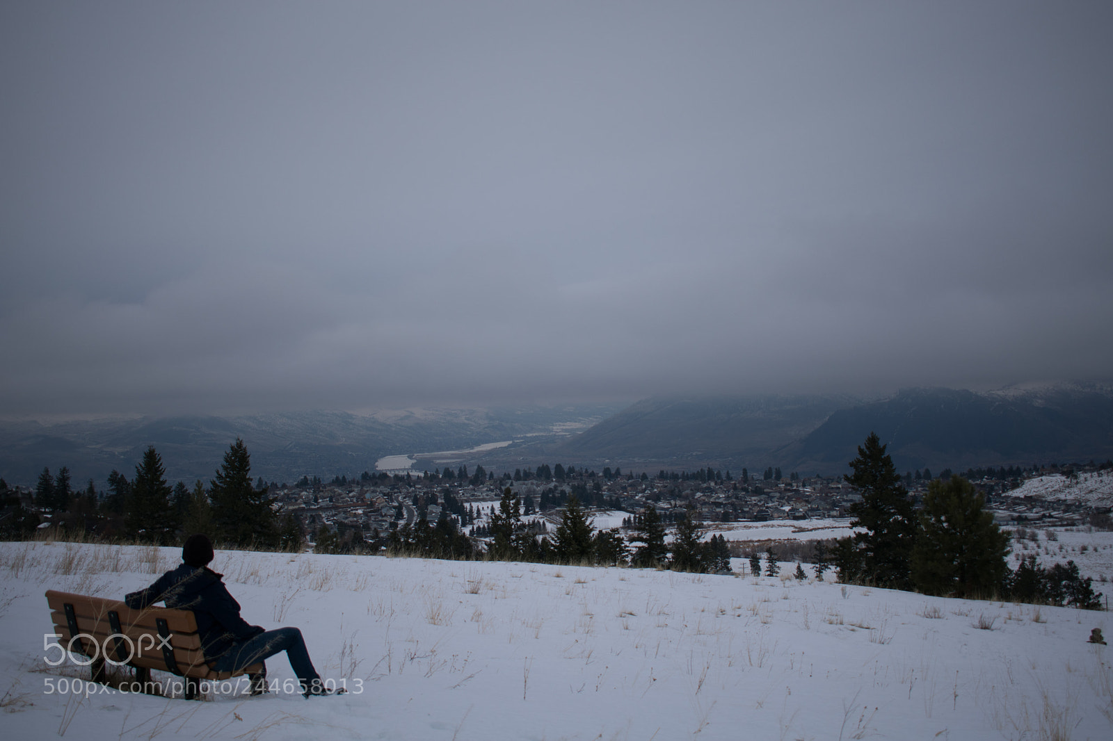 Nikon D3400 sample photo. Relaxing in winter photography