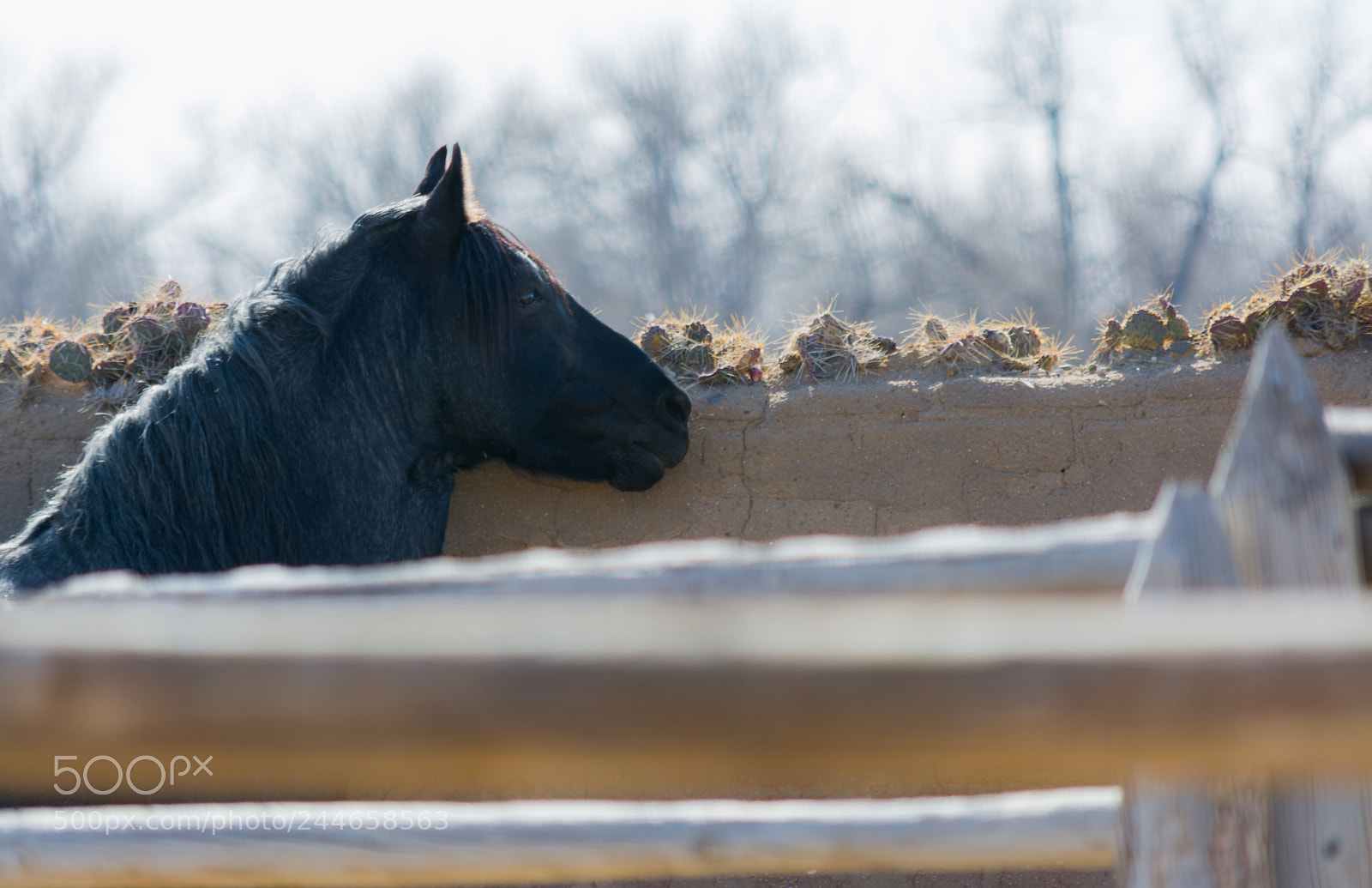 Nikon D7100 sample photo. On watch at the photography