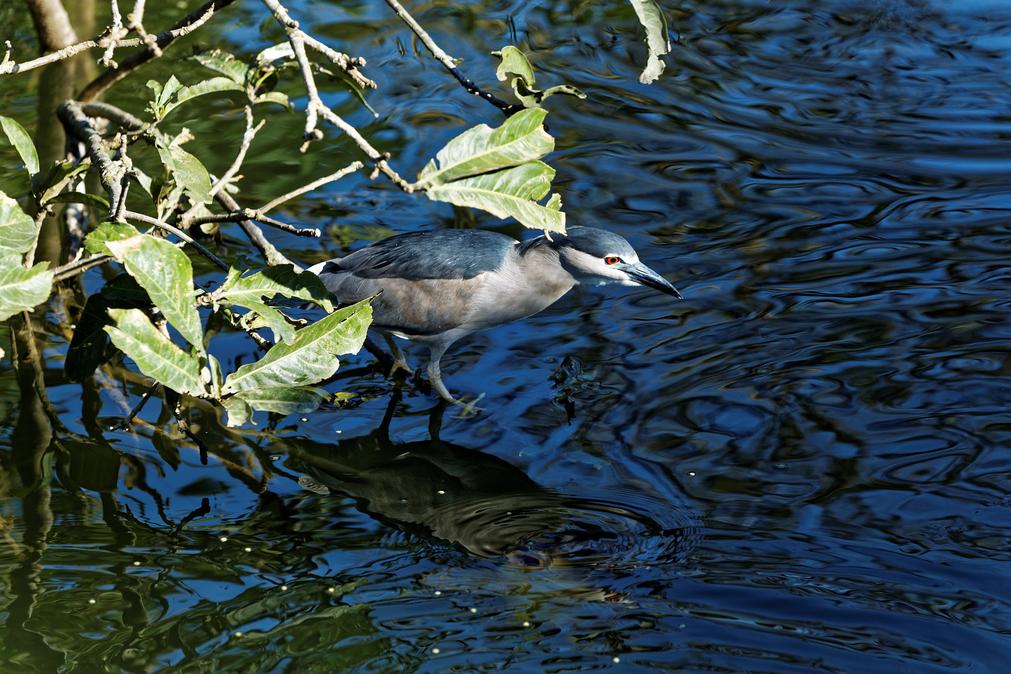 Canon EF 70-200mm F2.8L USM sample photo. Waiting... photography