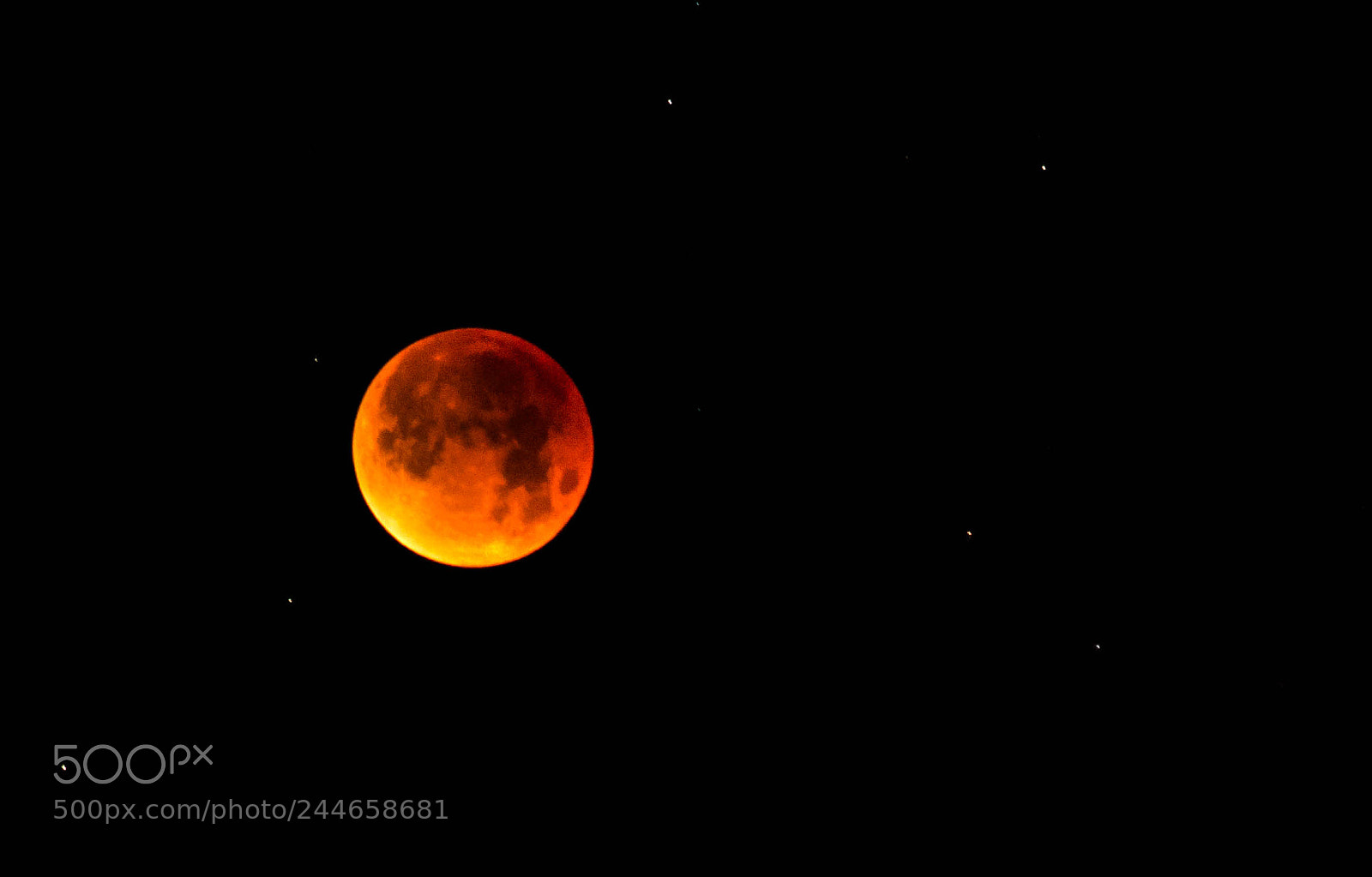 Nikon D5100 sample photo. Super blue blood moon photography