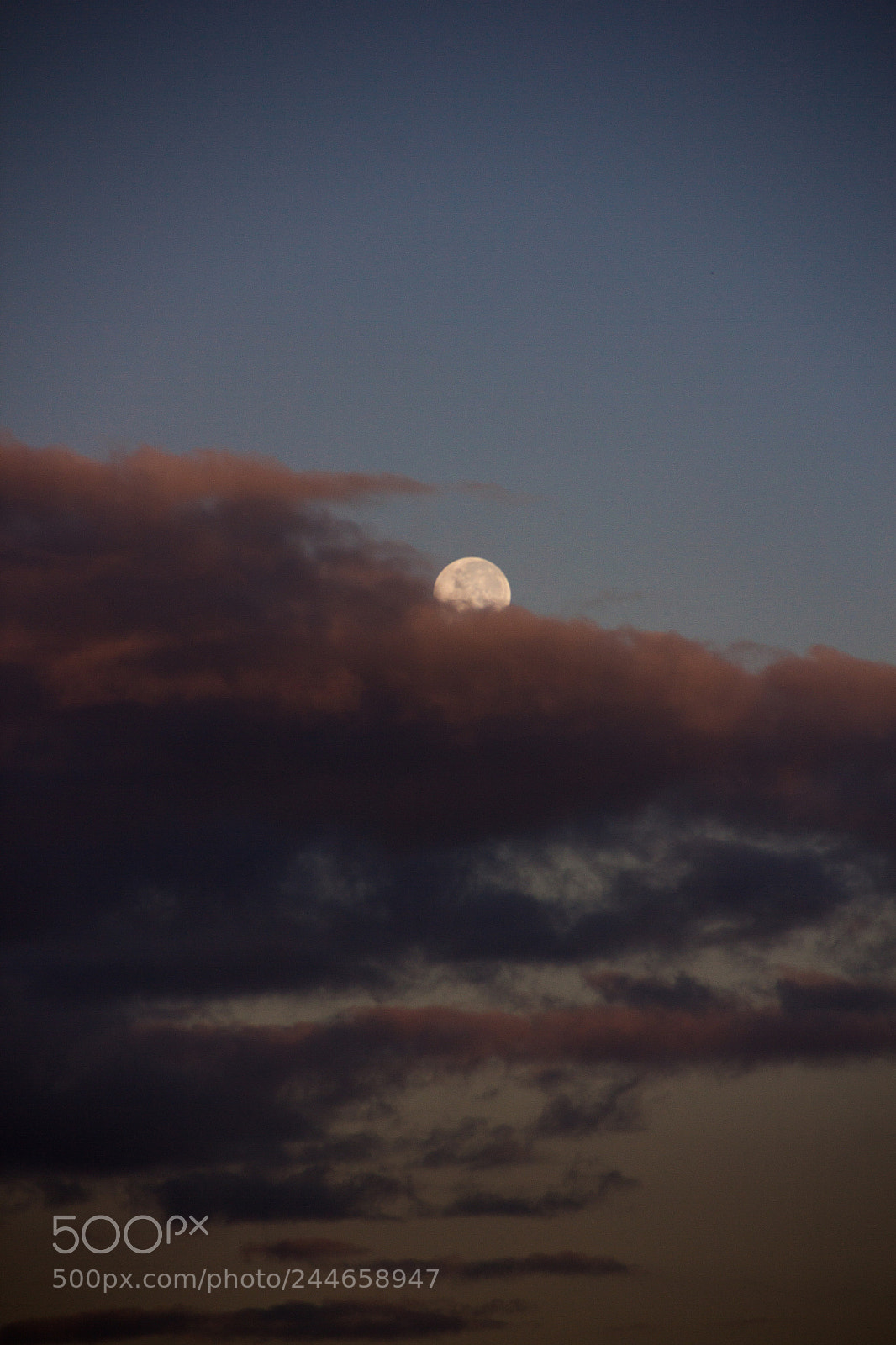 Canon EOS 60D sample photo. Untitled photography