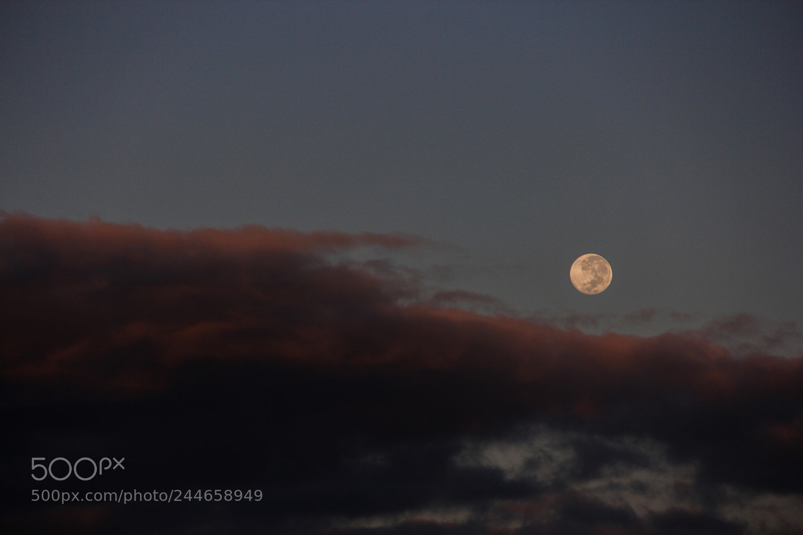Canon EOS 60D sample photo. Untitled photography
