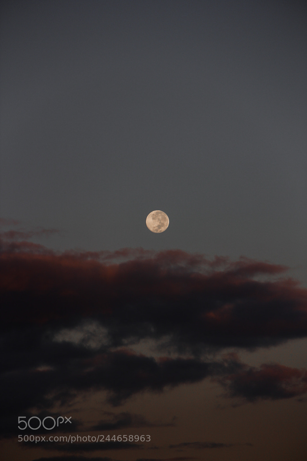 Canon EOS 60D sample photo. Untitled photography