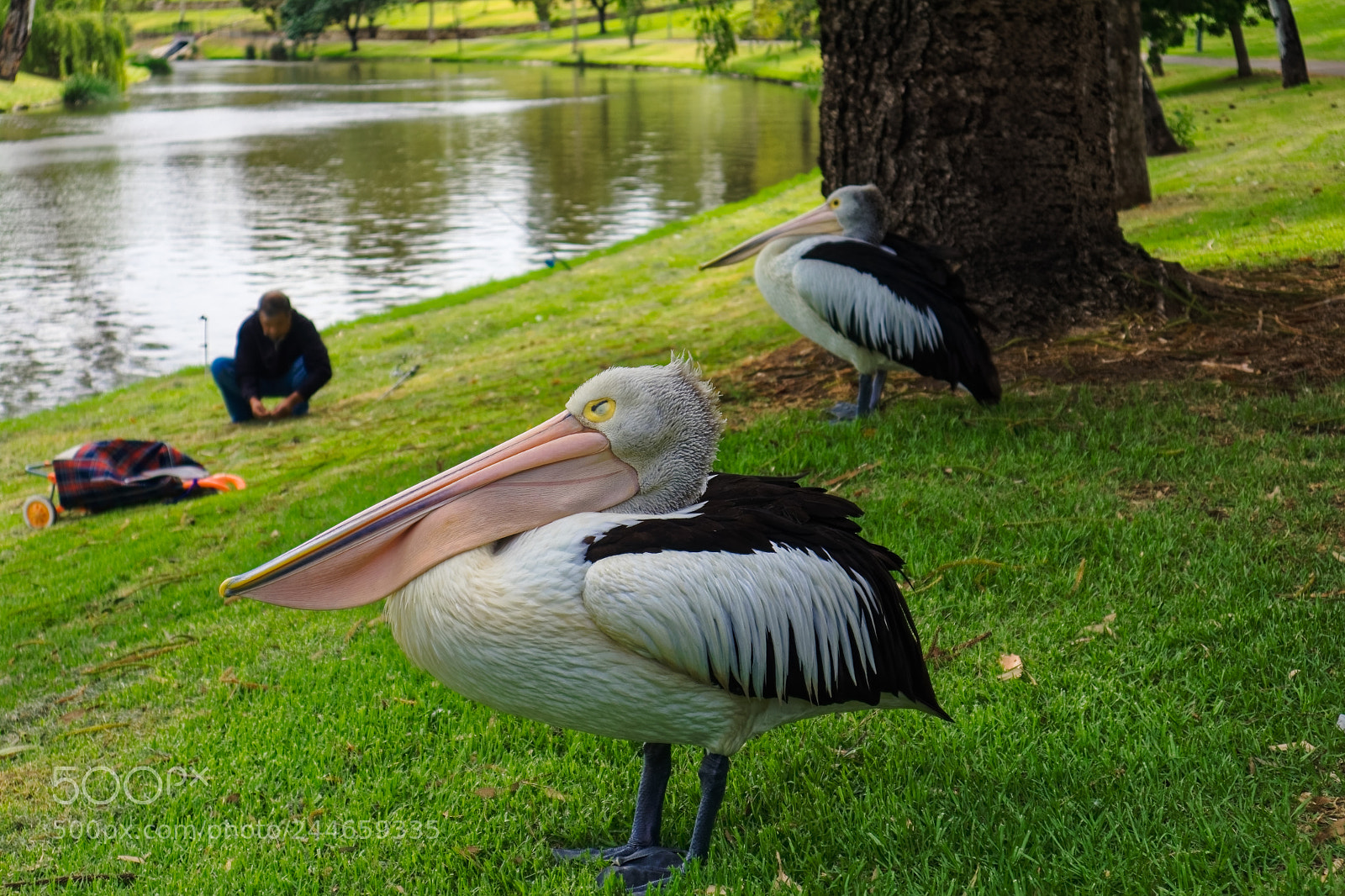 Canon EOS M5 sample photo. Look who is fishing photography