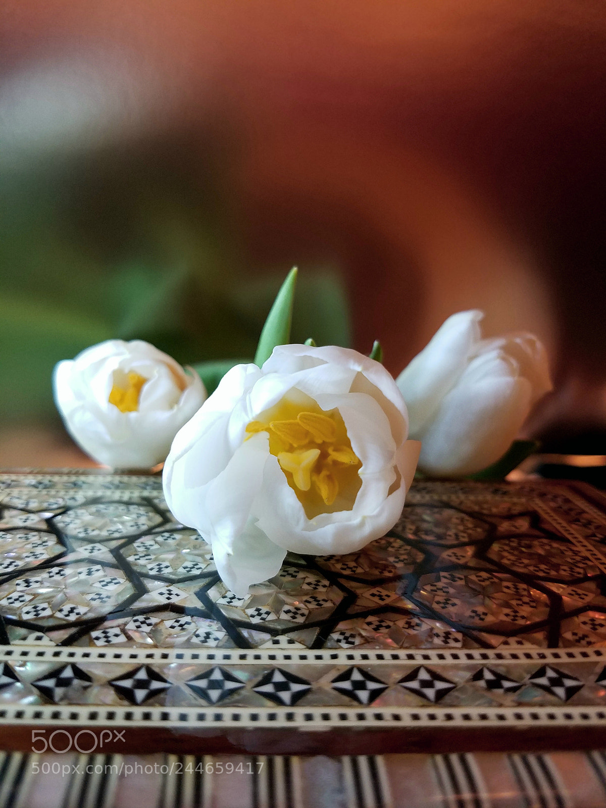 Samsung Galaxy S7 Edge sample photo. Three white tulips photography
