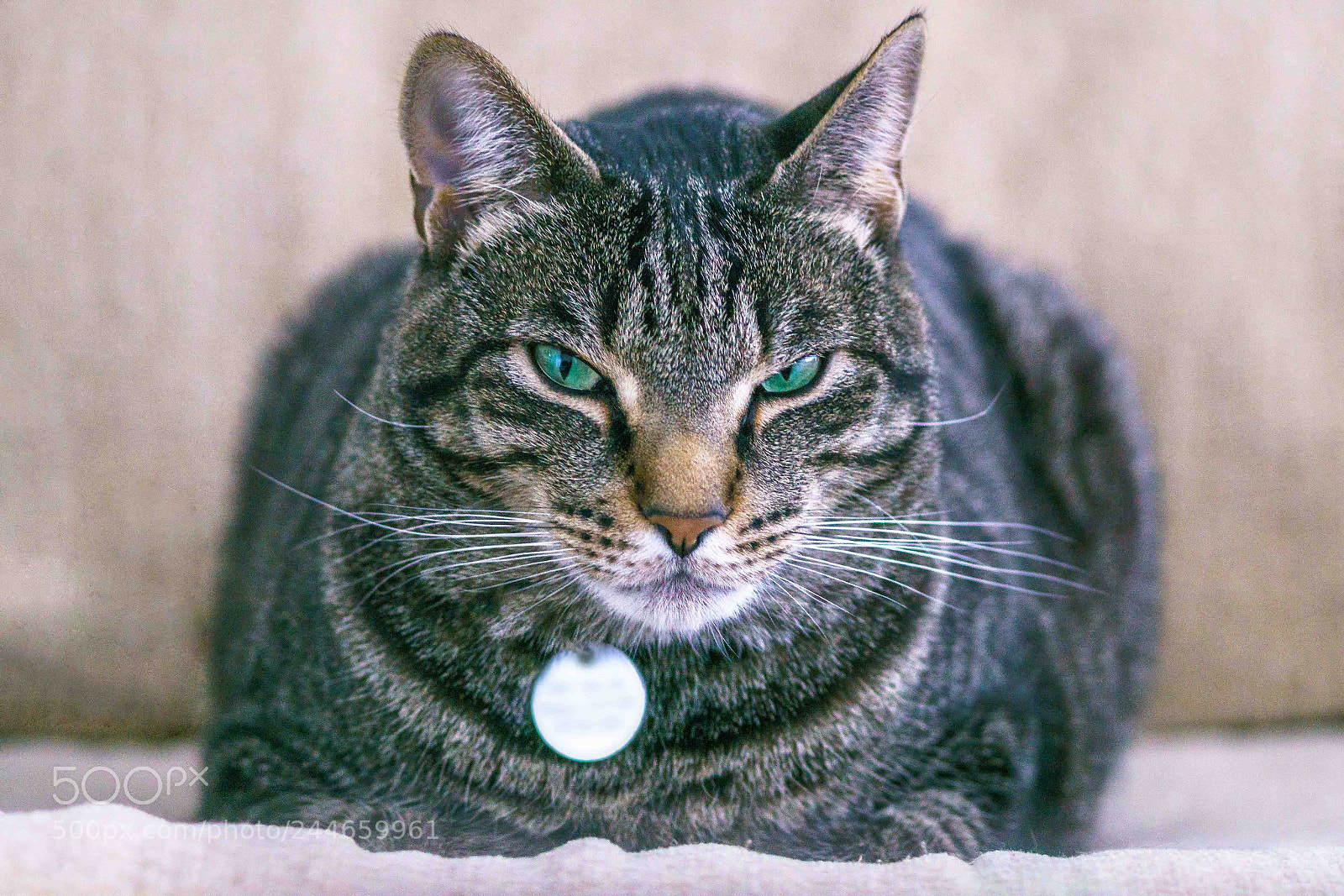 Sony ILCA-77M2 sample photo. I'm trying to relax photography