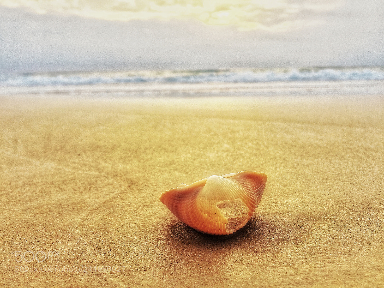 Apple iPhone 6 sample photo. Sandgate beach qld photography