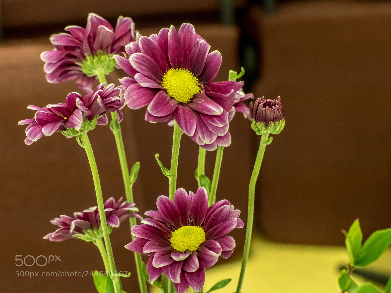 Olympus OM-D E-M5 II sample photo. Congregation photography