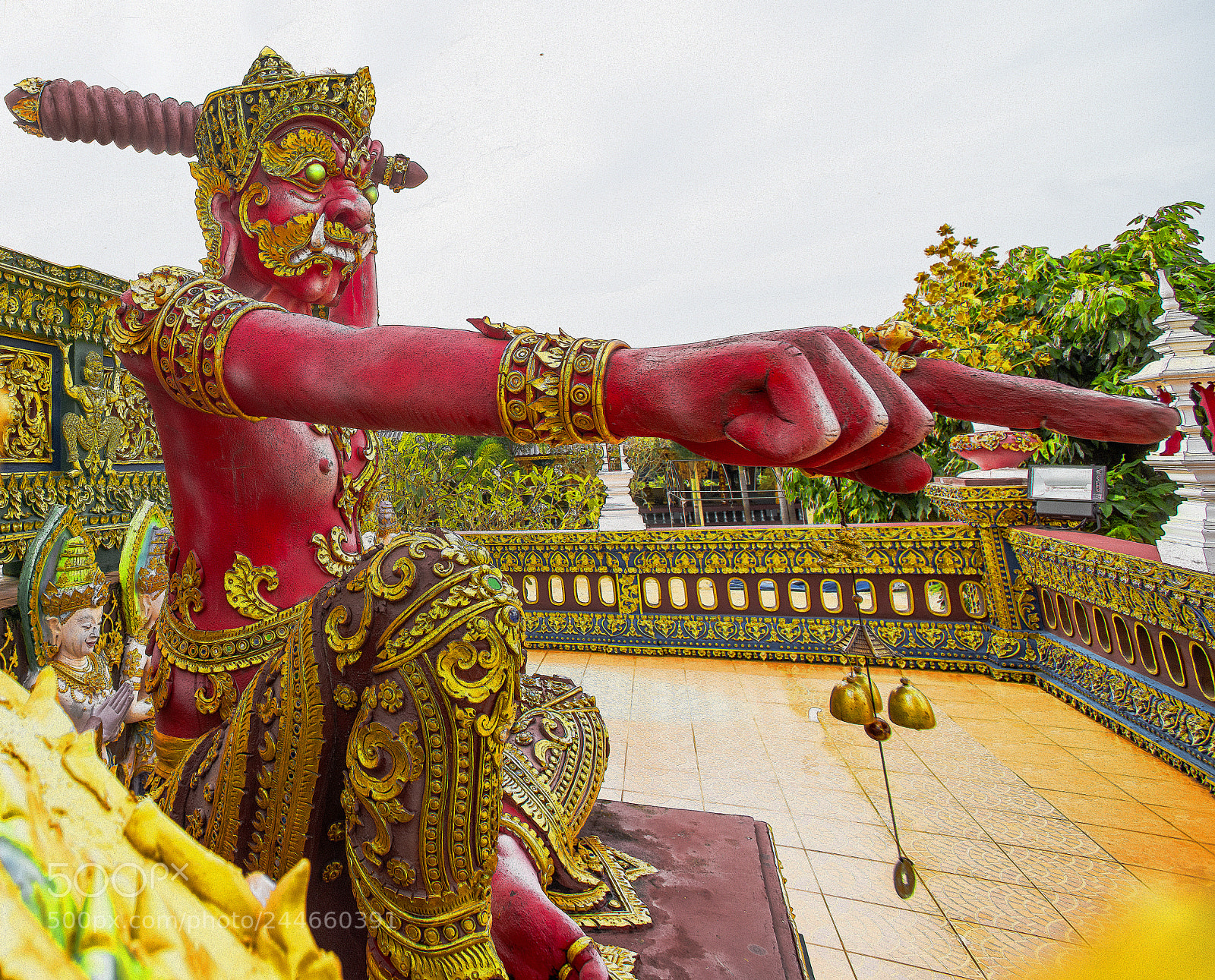 Nikon D850 sample photo. Toi photography