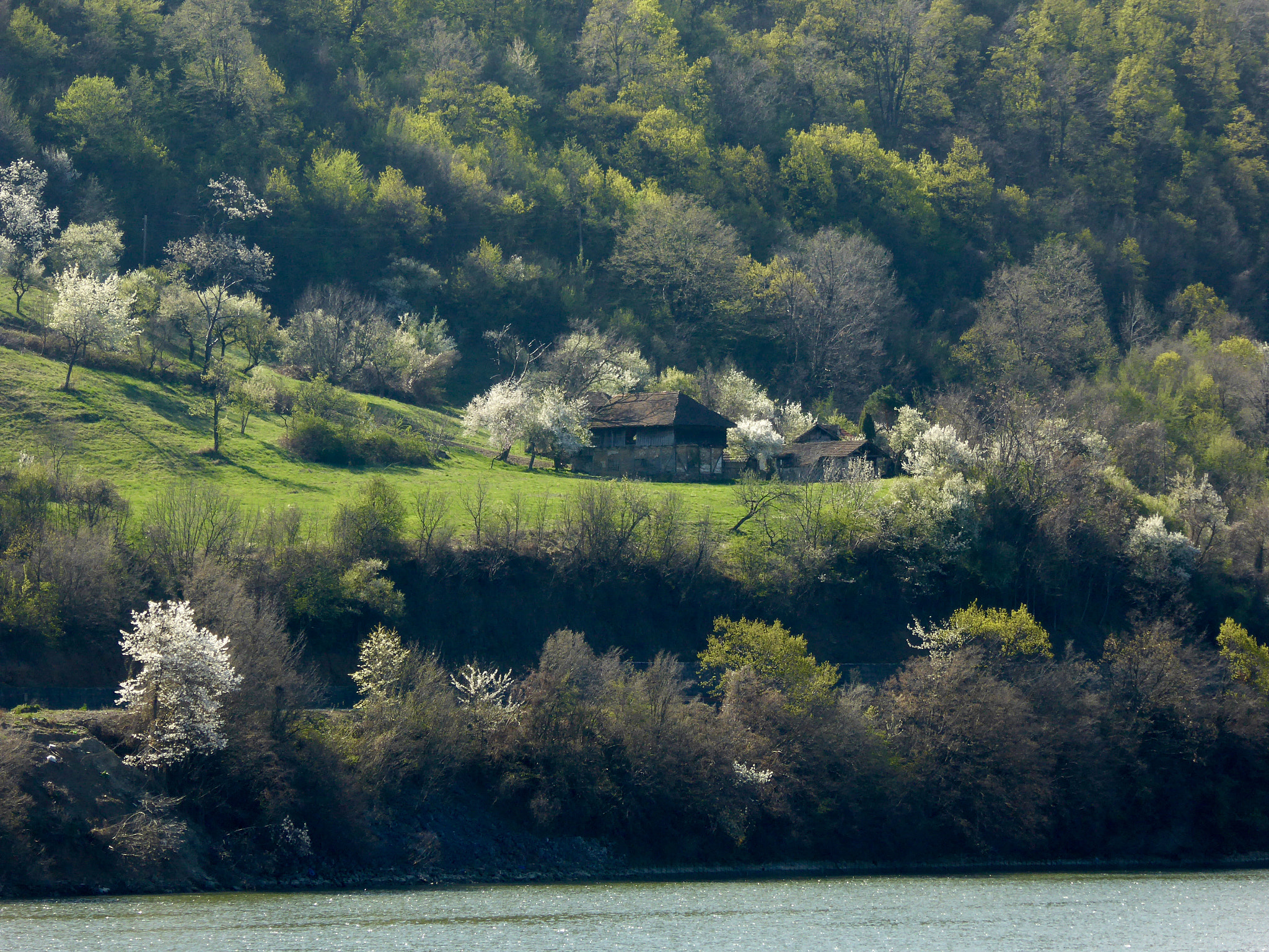 Panasonic Lumix DMC-ZS40 (Lumix DMC-TZ60) sample photo. Serbian side, danube photography