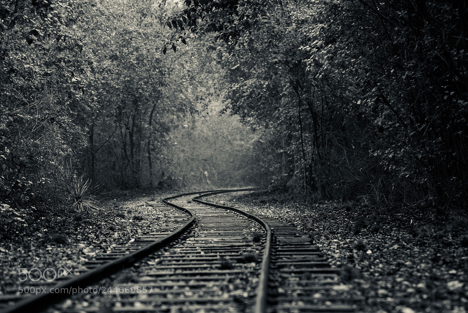 Sony Alpha DSLR-A300 sample photo. Photohaikus... the wild west.... photography