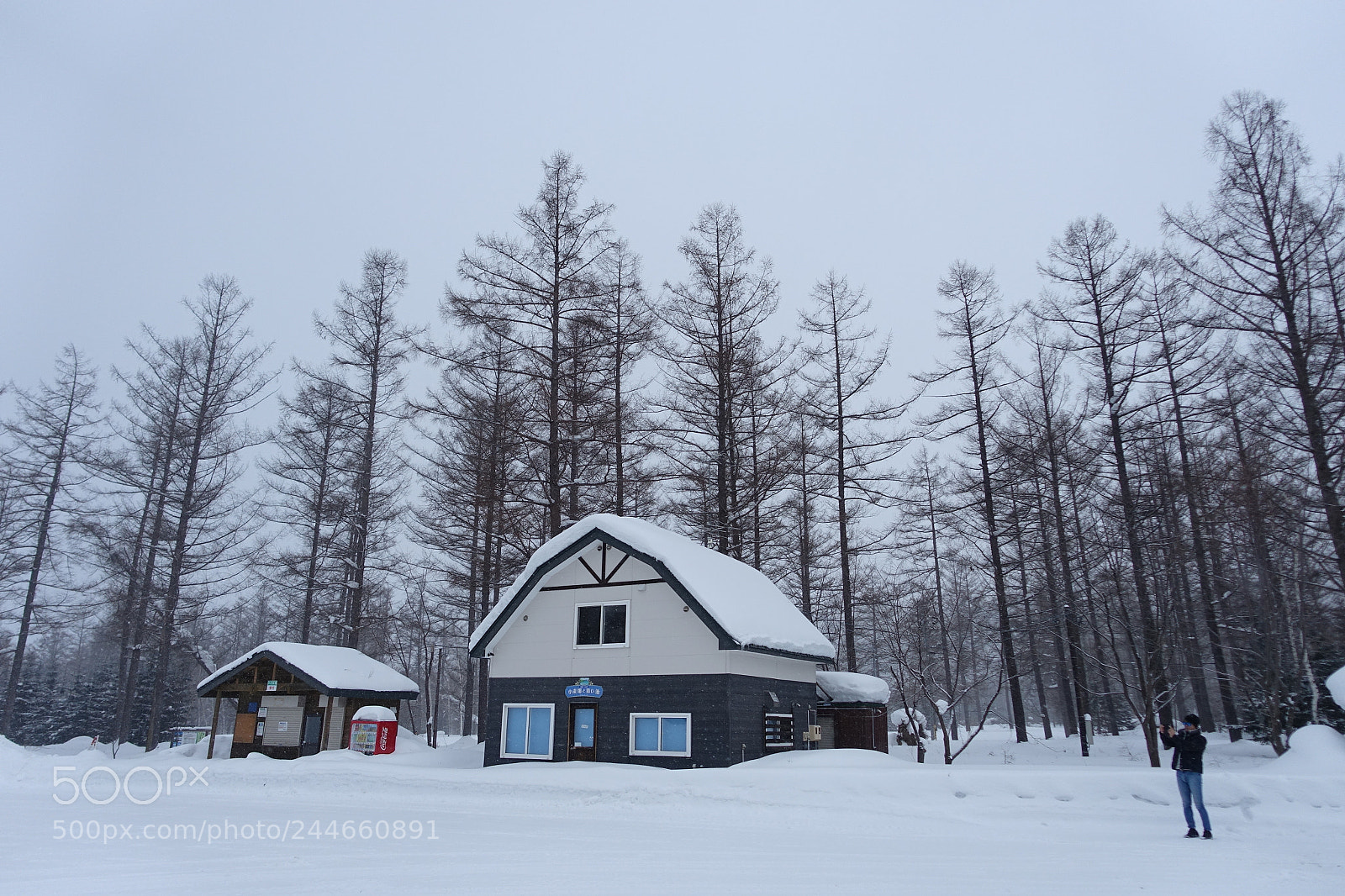 Sony Cyber-shot DSC-RX100 III sample photo. Beutiful life.. photography
