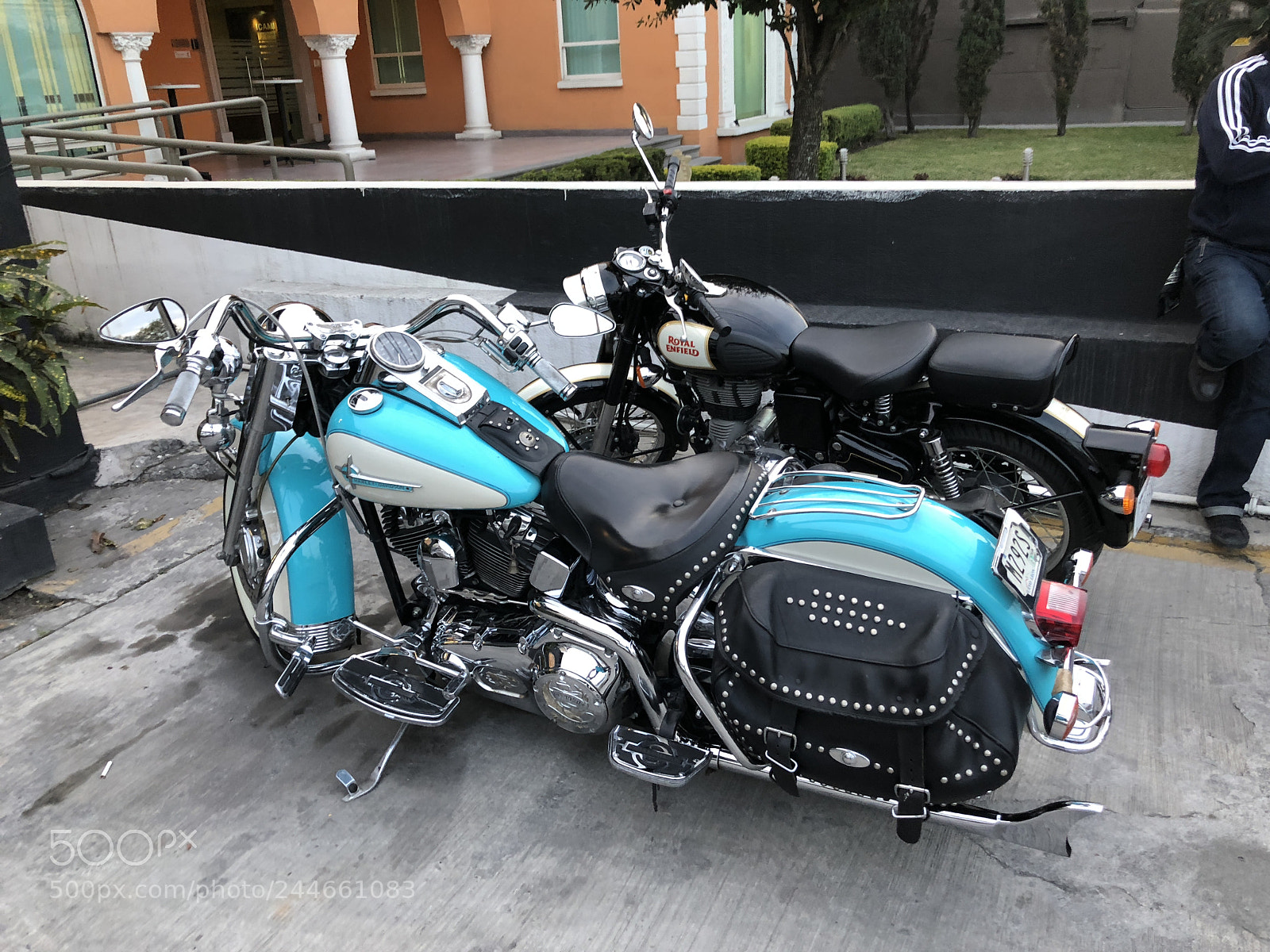 Apple iPhone X sample photo. Harley and royal photography