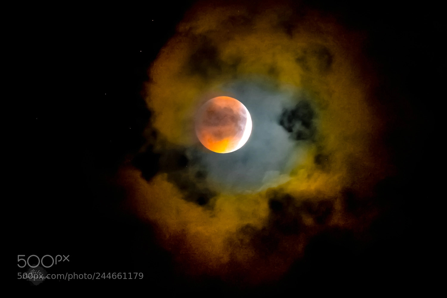 Nikon D810 sample photo. Luna photography