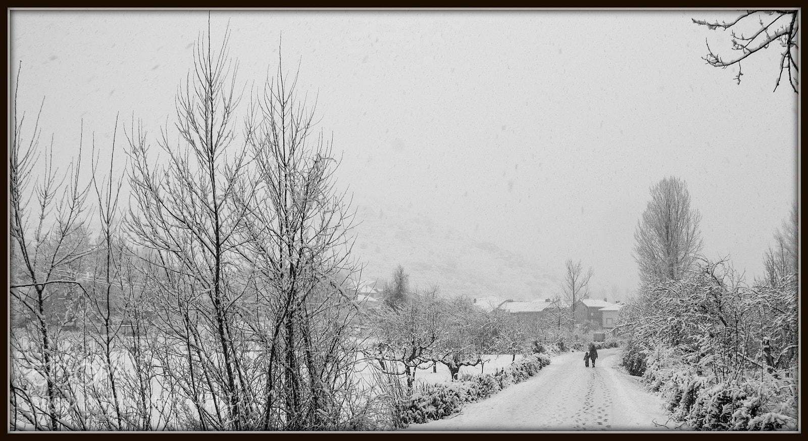 Nikon D300 sample photo. Acabando el paseo photography
