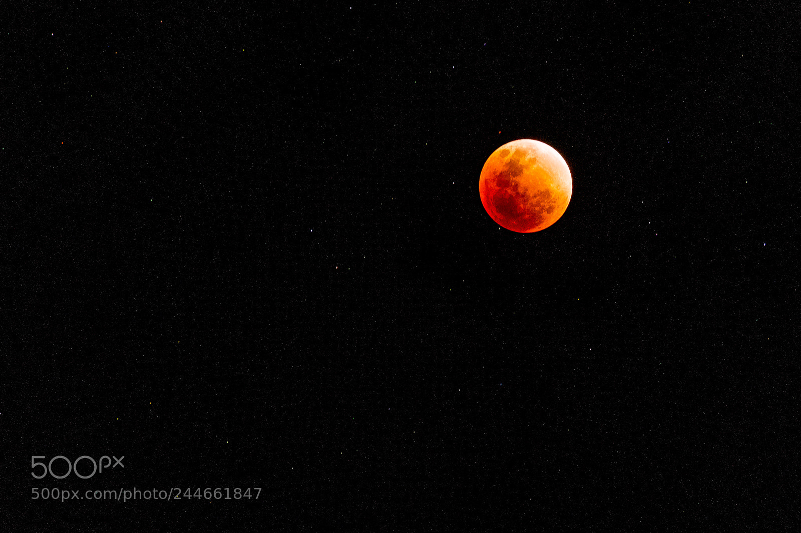 Fujifilm X-M1 sample photo. Super blue blood moon photography