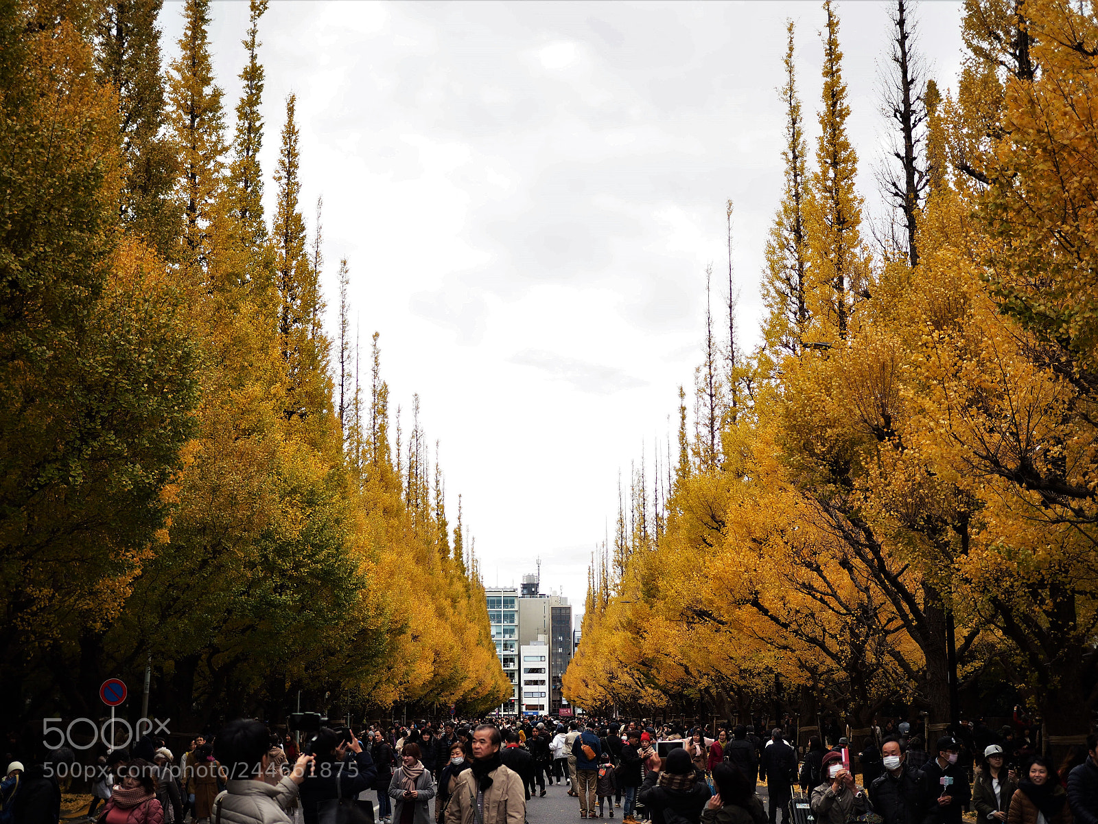 Olympus PEN-F sample photo. In japan photography