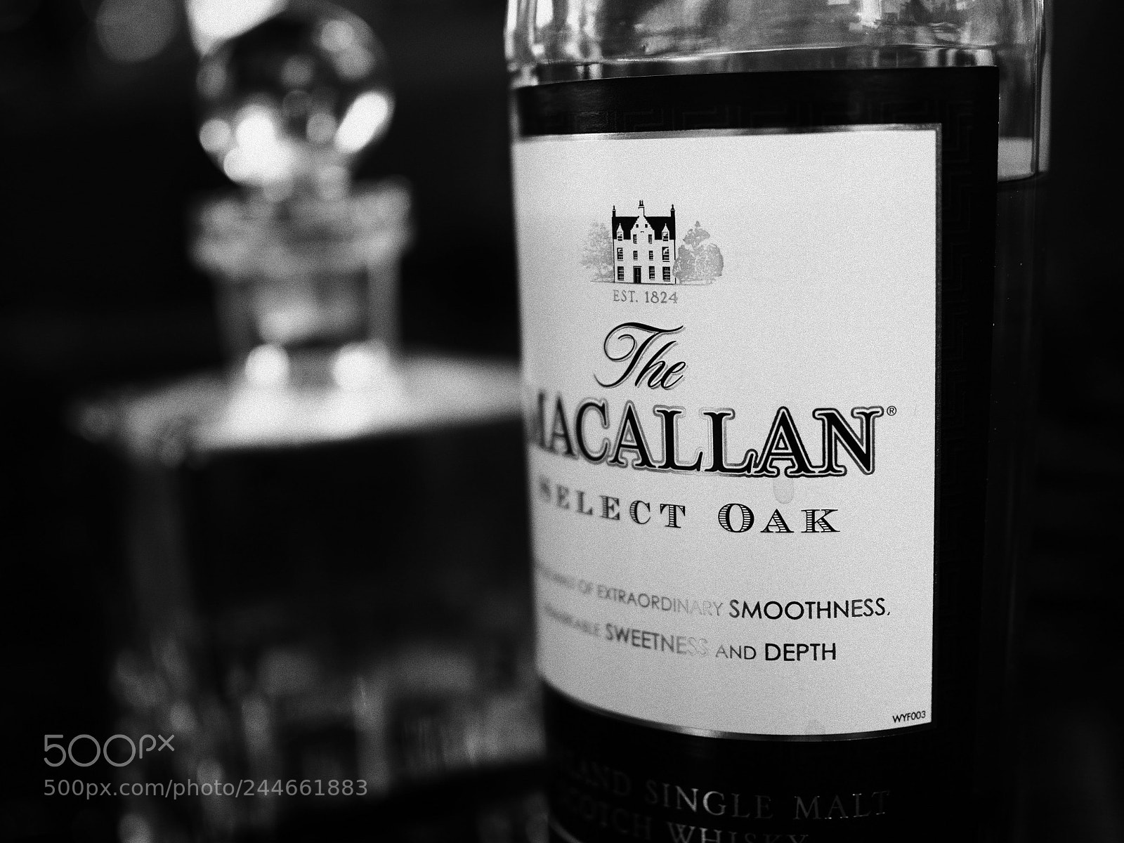 Olympus PEN-F sample photo. Macallan photography
