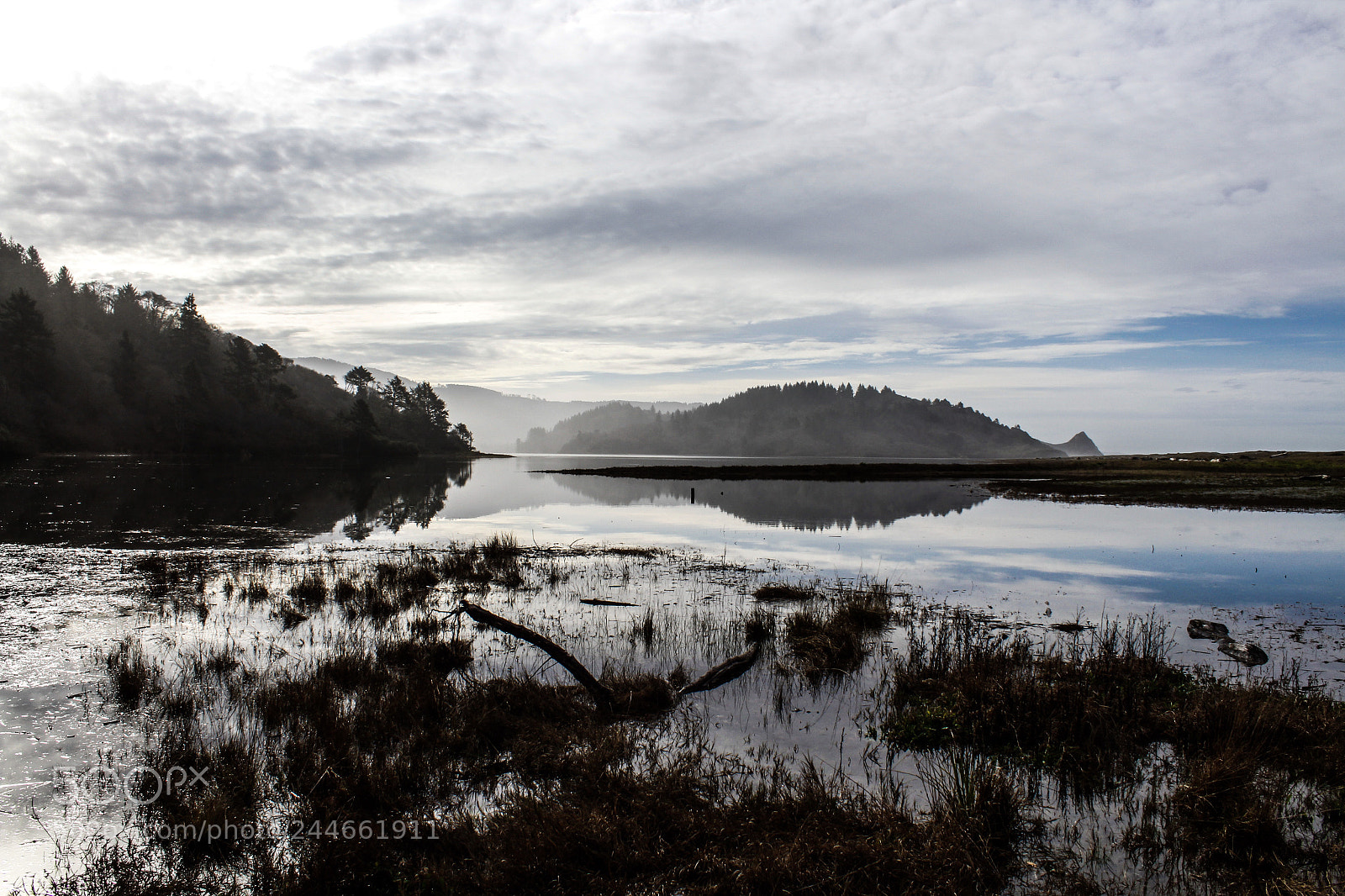 Canon EOS 1300D (EOS Rebel T6 / EOS Kiss X80) sample photo. Misty morning at the photography