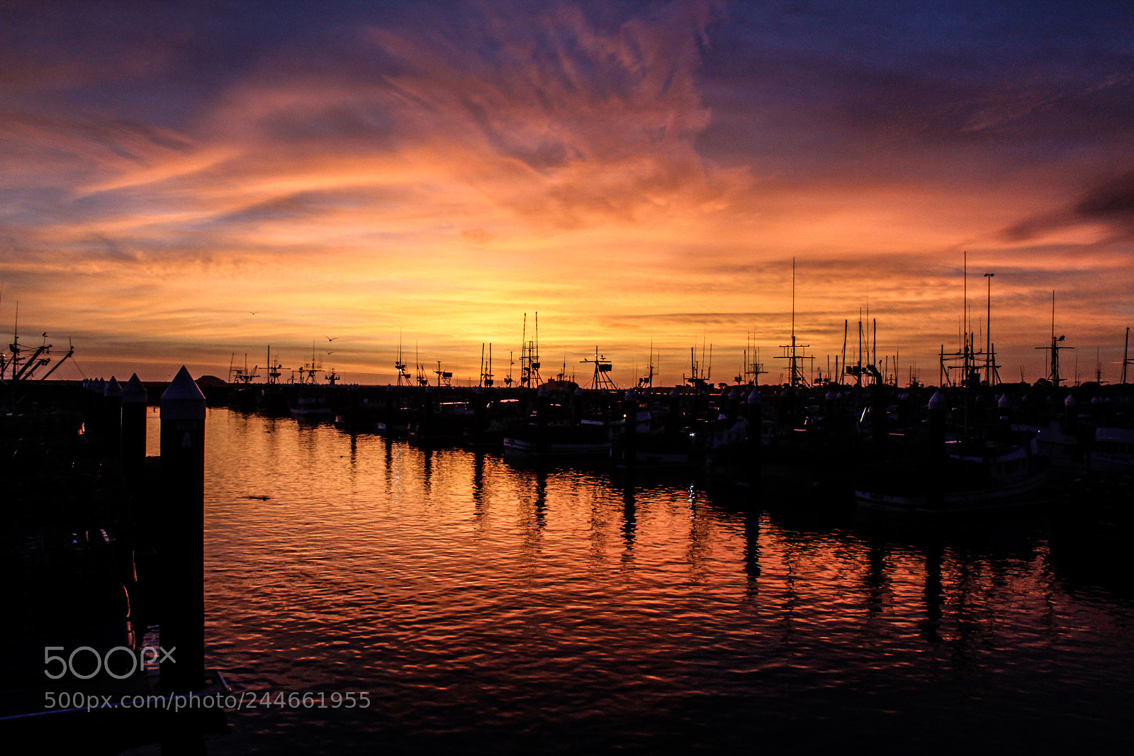 Canon EOS 1300D (EOS Rebel T6 / EOS Kiss X80) sample photo. Harbor sunset photography