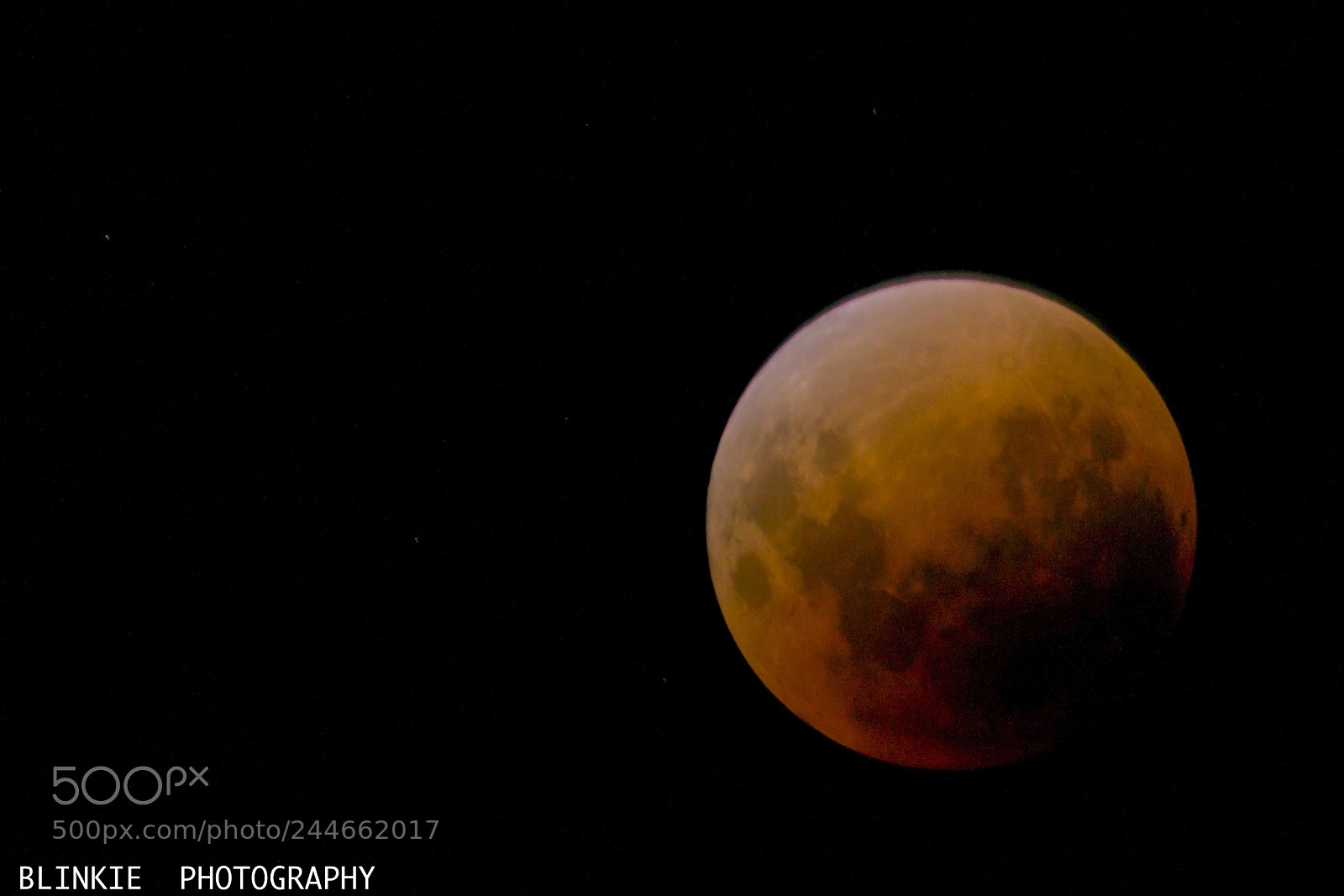 Nikon D800 sample photo. Blue blood moon photography