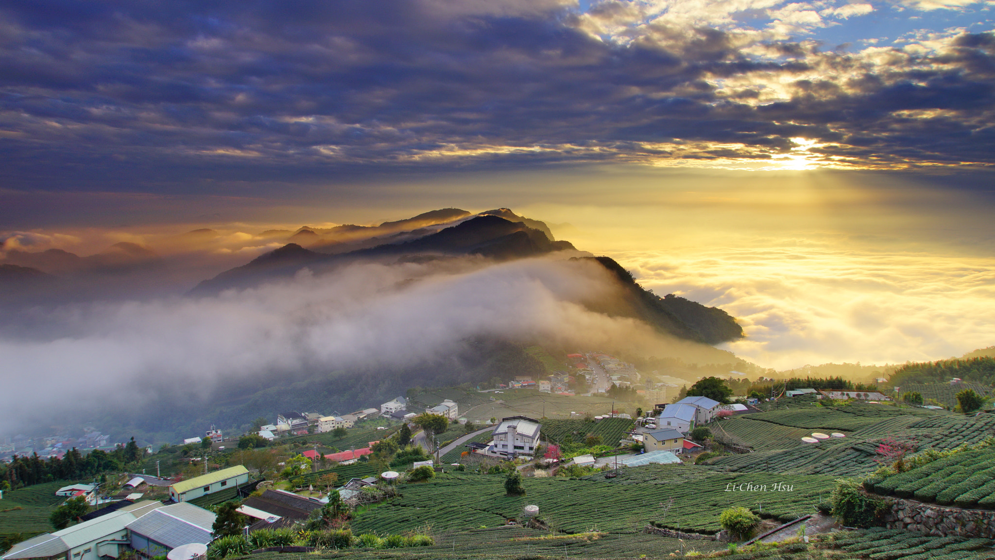 Sony FE 24-240mm F3.5-6.3 OSS sample photo. Sea of clouds over tea trees photography