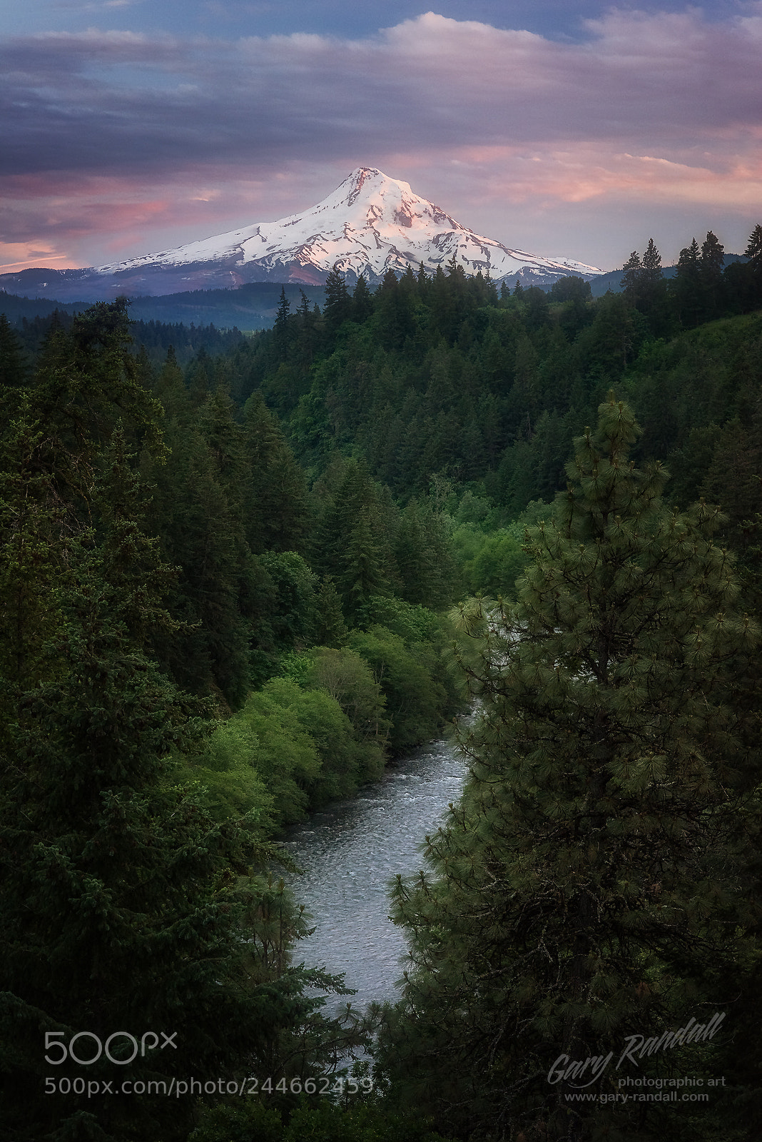 Nikon D810 sample photo. Mount hood photography