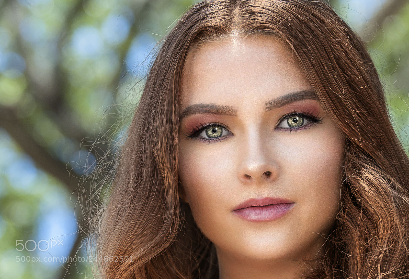 Nikon D3 sample photo. Az photography