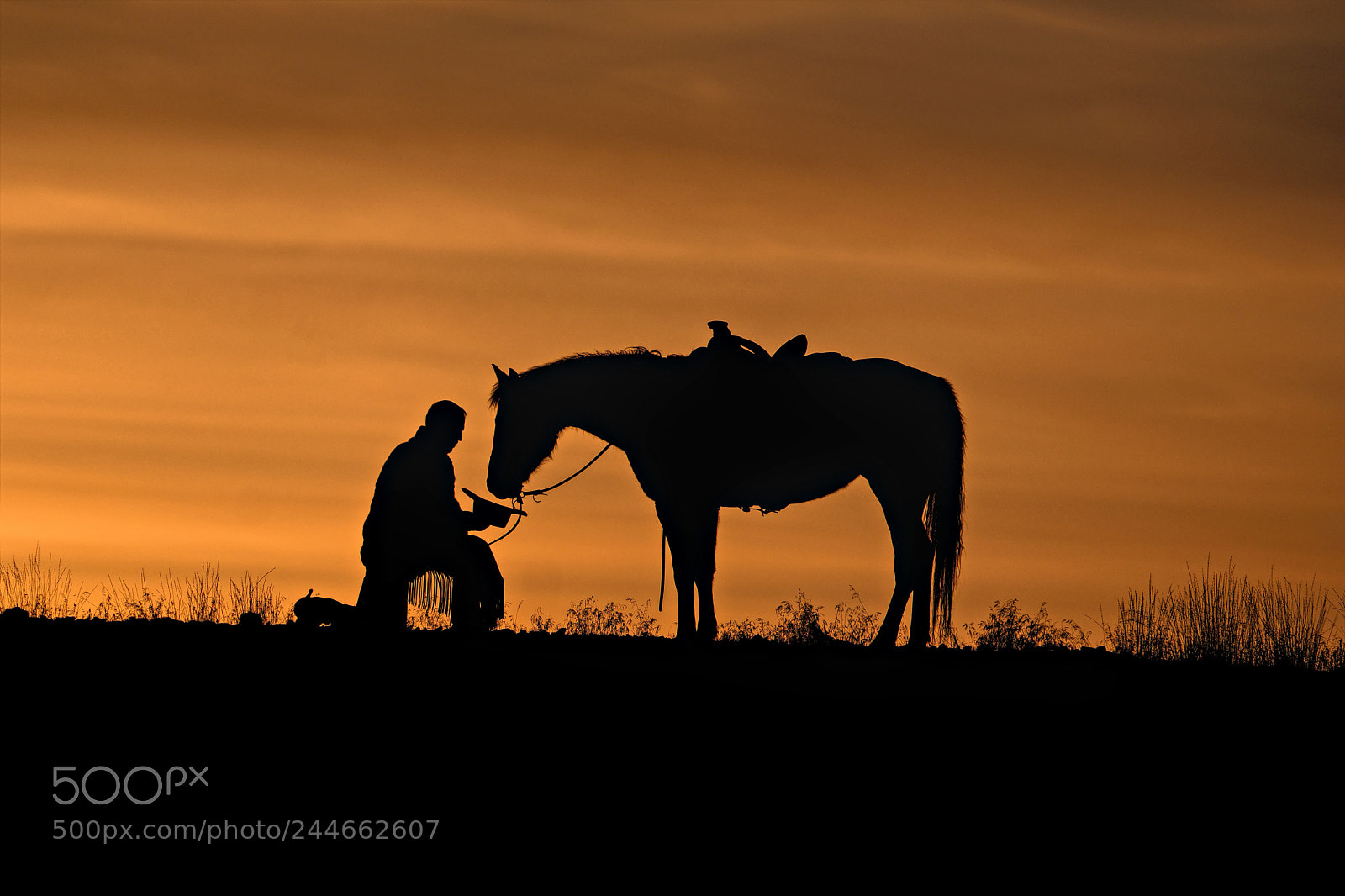 Fujifilm X-T2 sample photo. The wild west photography