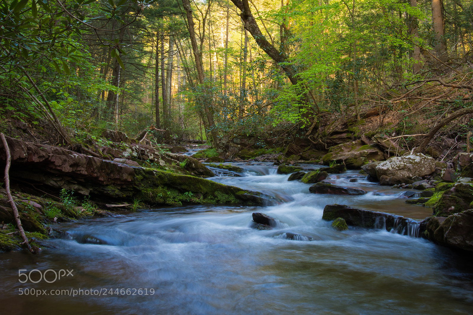 Nikon D7200 sample photo. Waterfall photography