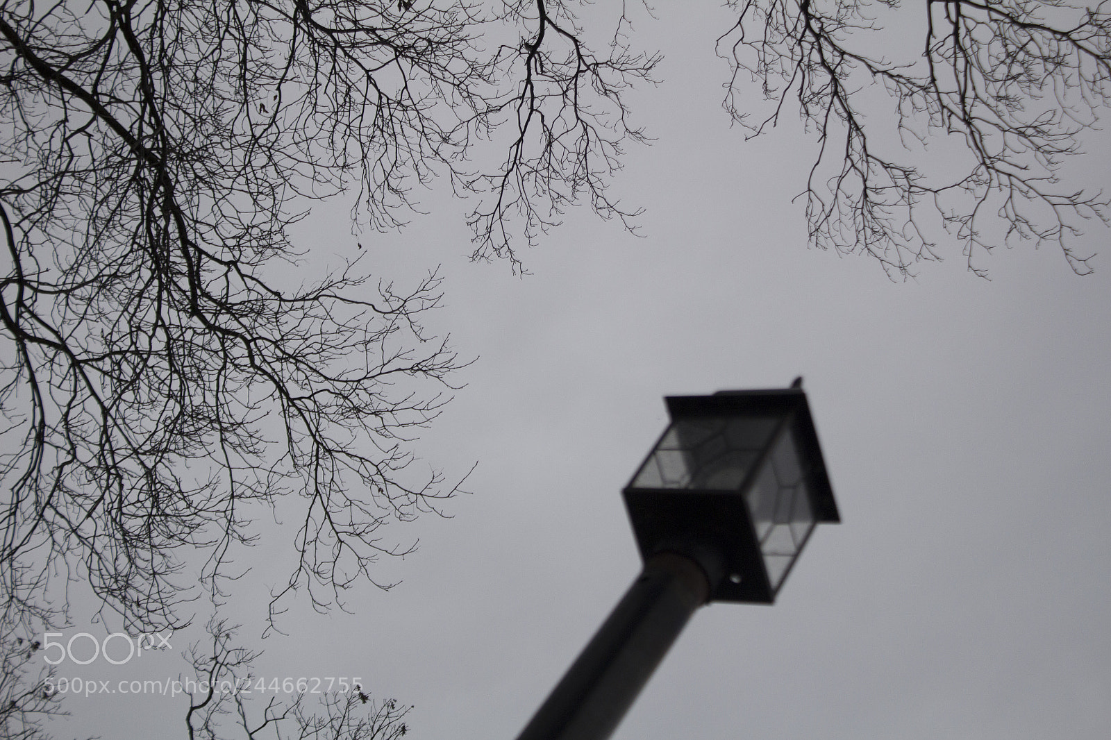 Canon EOS 1200D (EOS Rebel T5 / EOS Kiss X70 / EOS Hi) sample photo. Sunlit street light. 陽光照射的路燈。 サンライトの街灯。 iluminado. photography