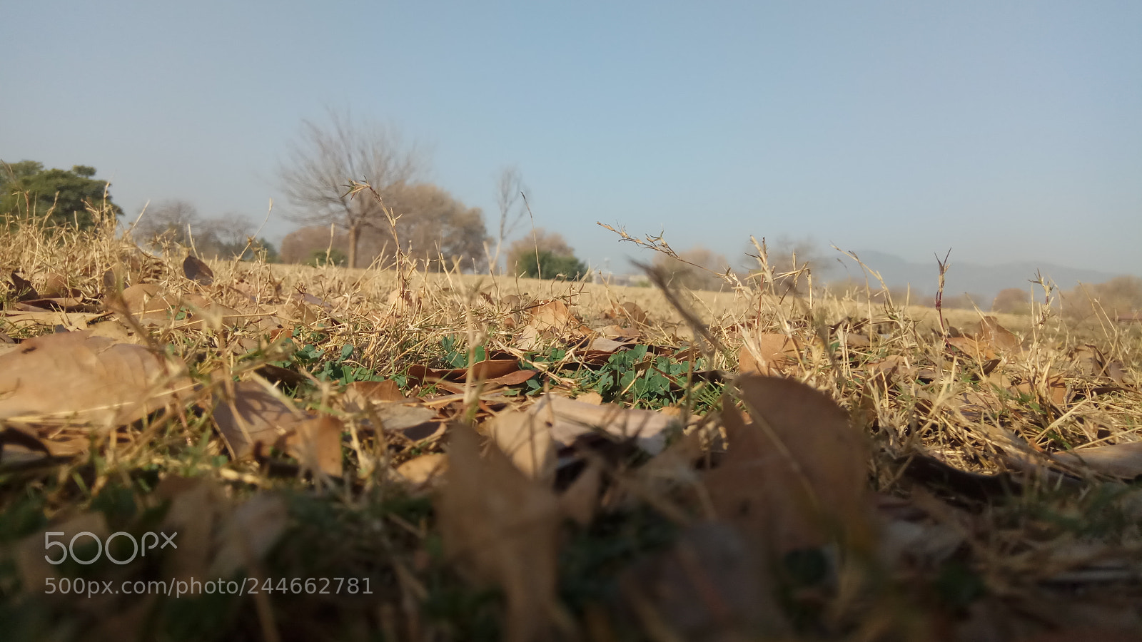 Xiaomi Redmi Note 4 sample photo. Cool and calm photography