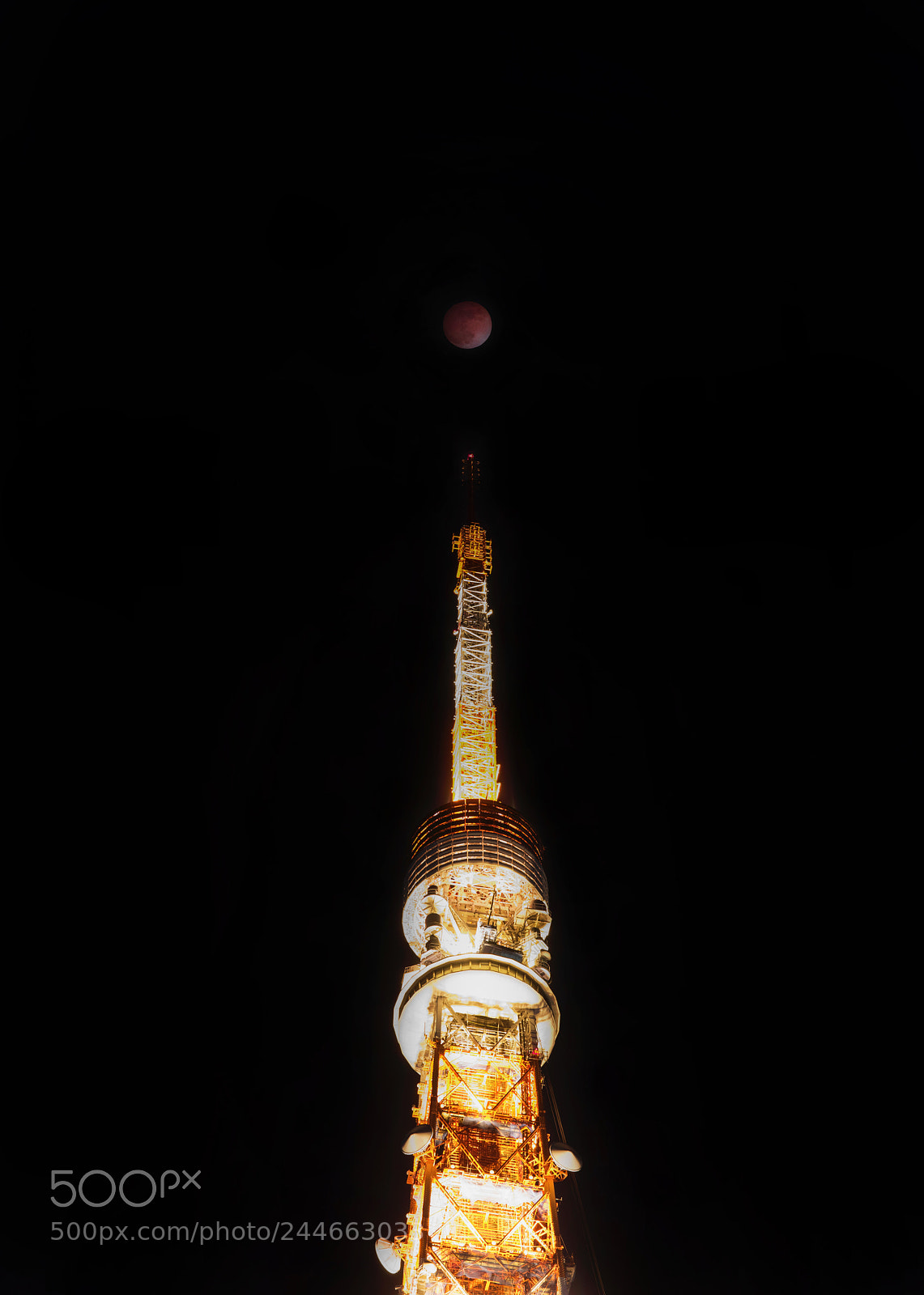 Nikon D810 sample photo. Blue blood moon in photography