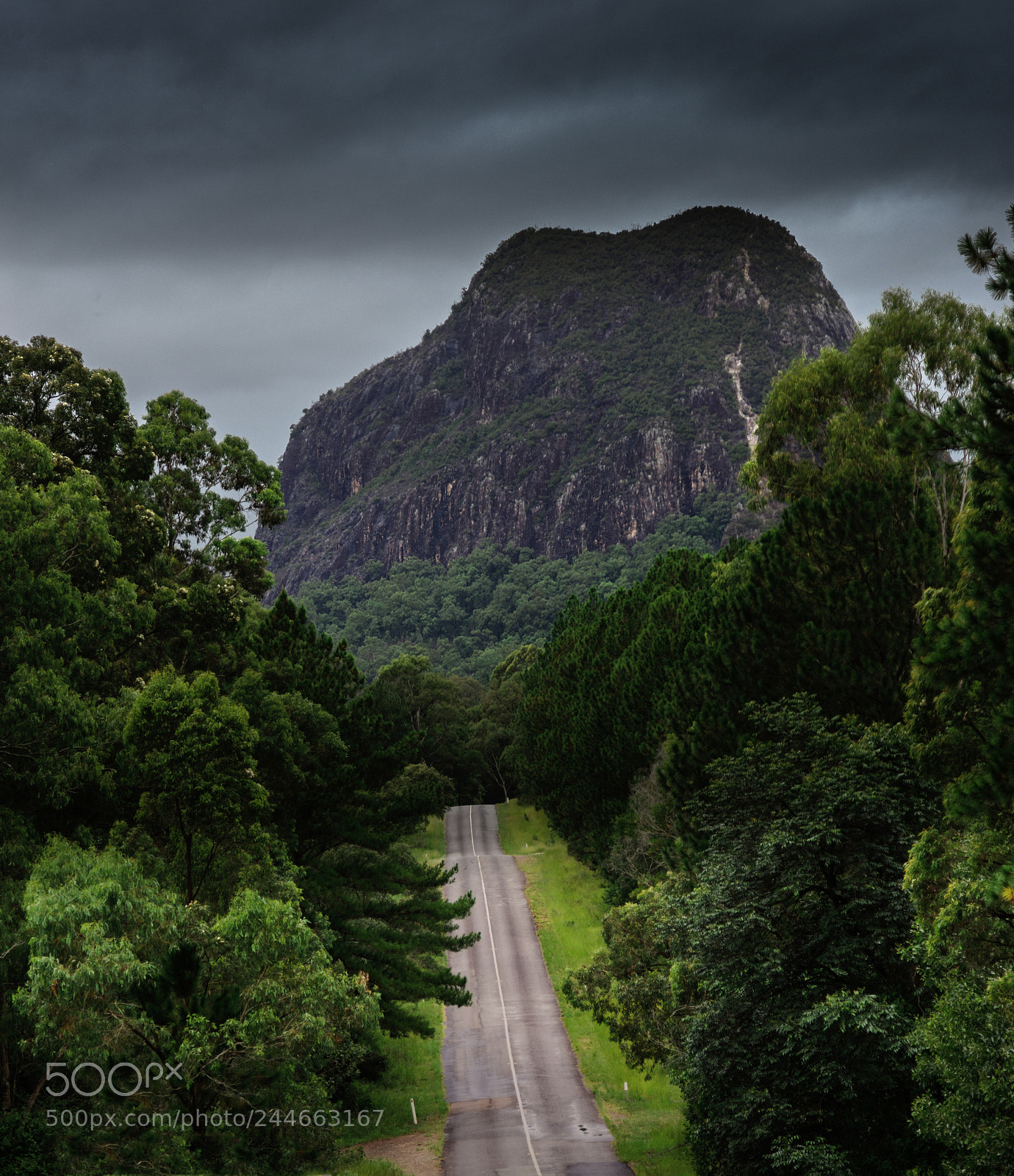 Nikon D810 sample photo. Road to tibrogargan photography