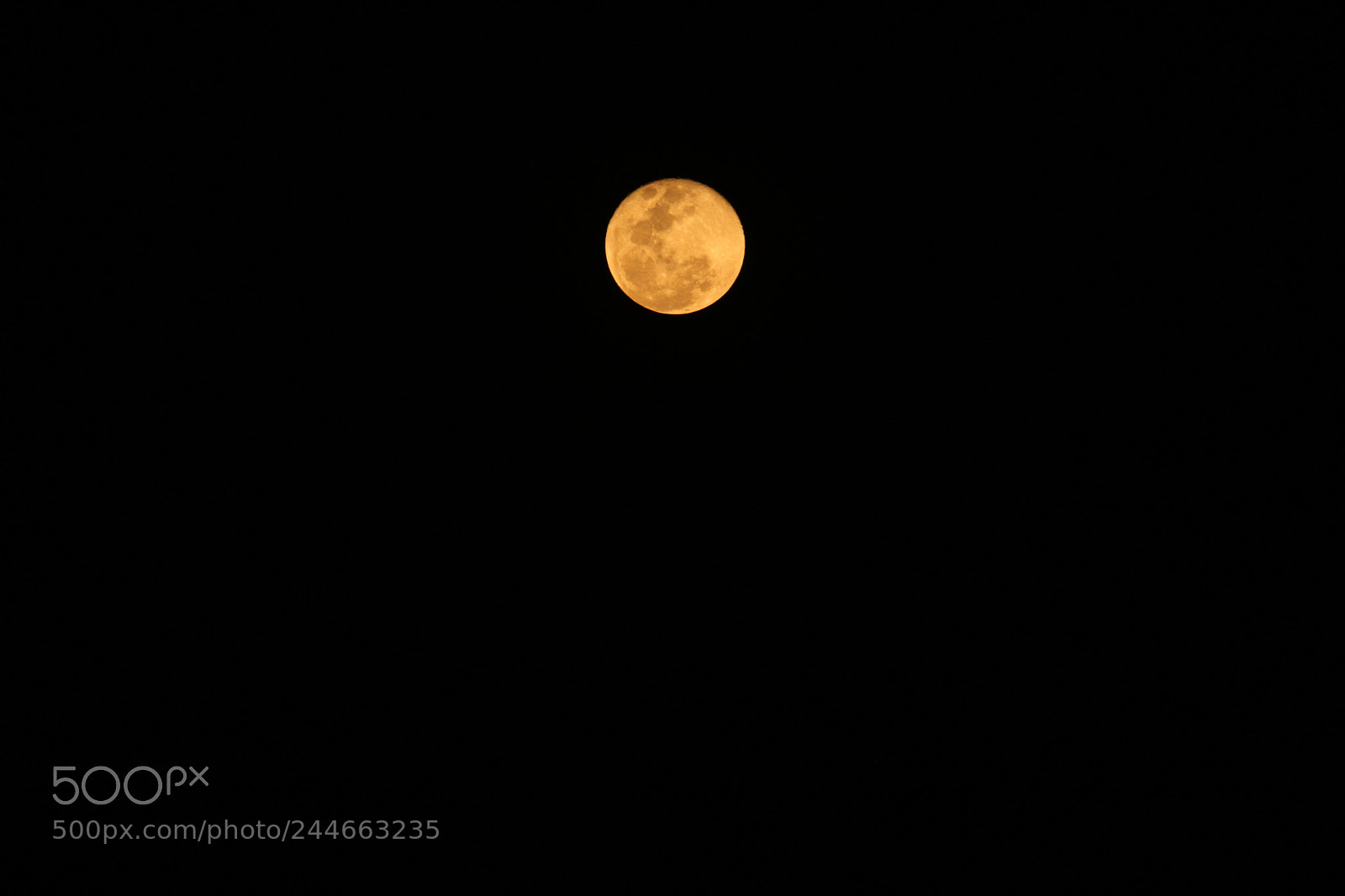 Canon EF-S 55-250mm F4-5.6 IS II sample photo. Mooooon photography