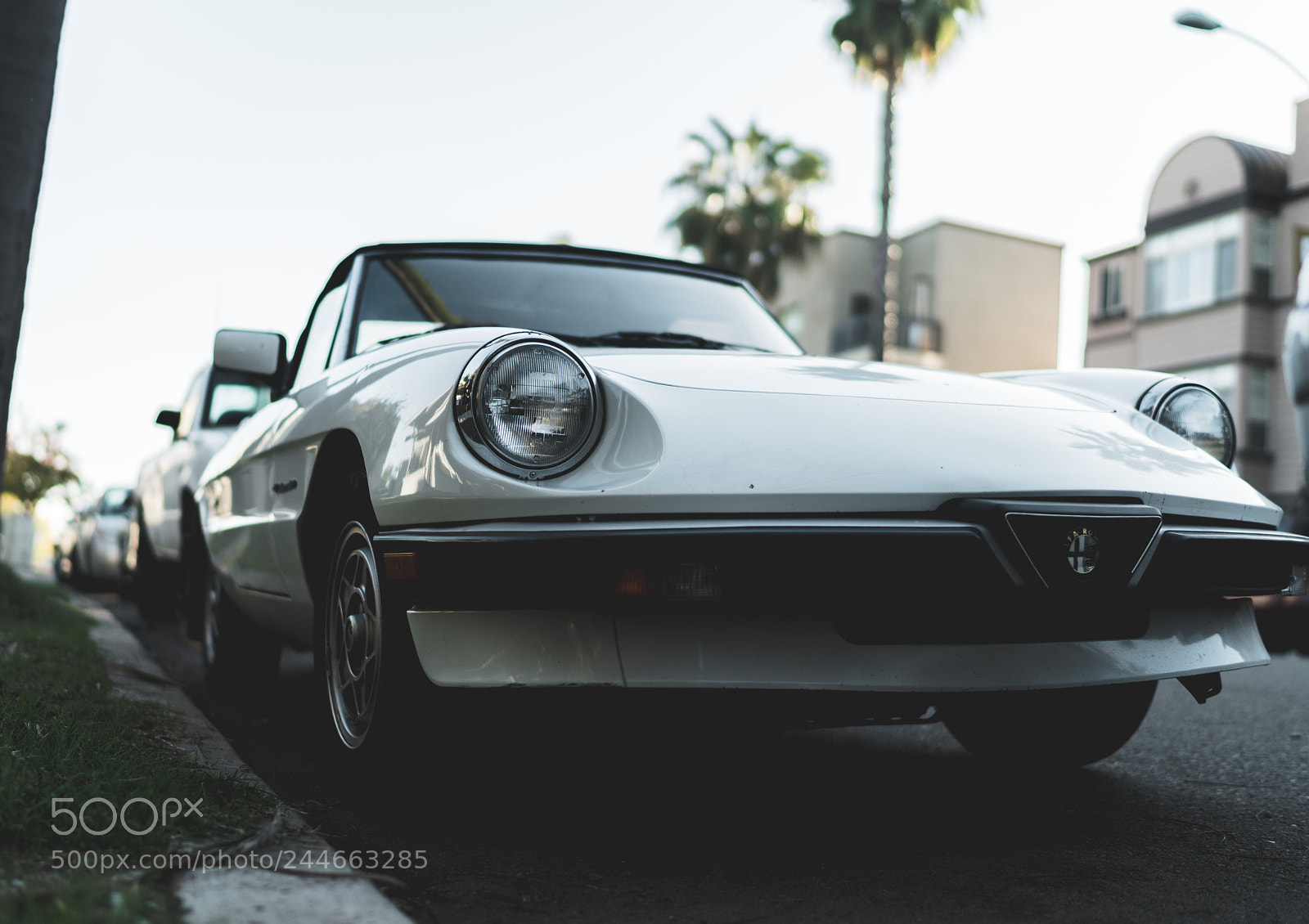 Sony a7R II sample photo. White romeo photography