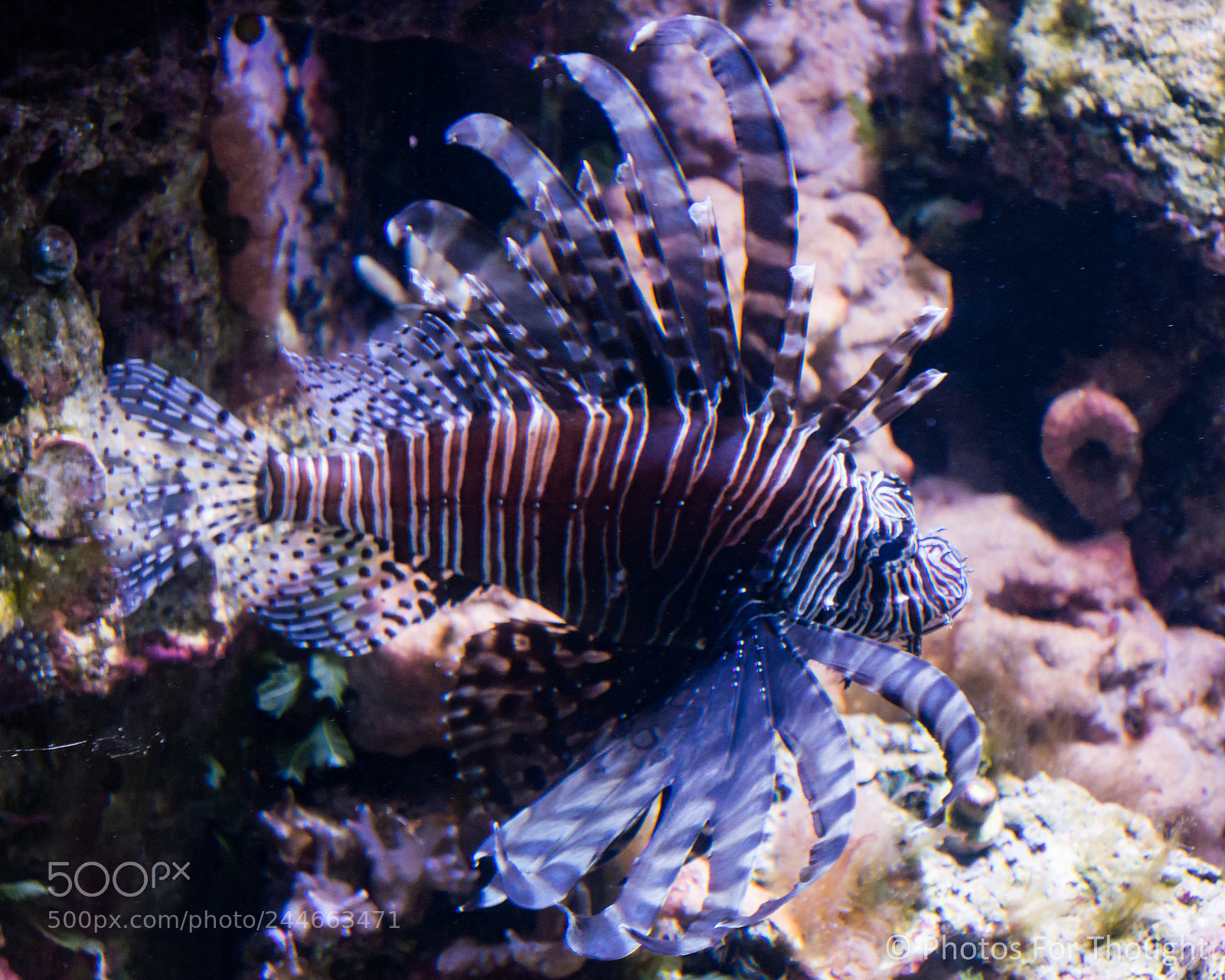 Sony Alpha NEX-5R sample photo. Warning photography