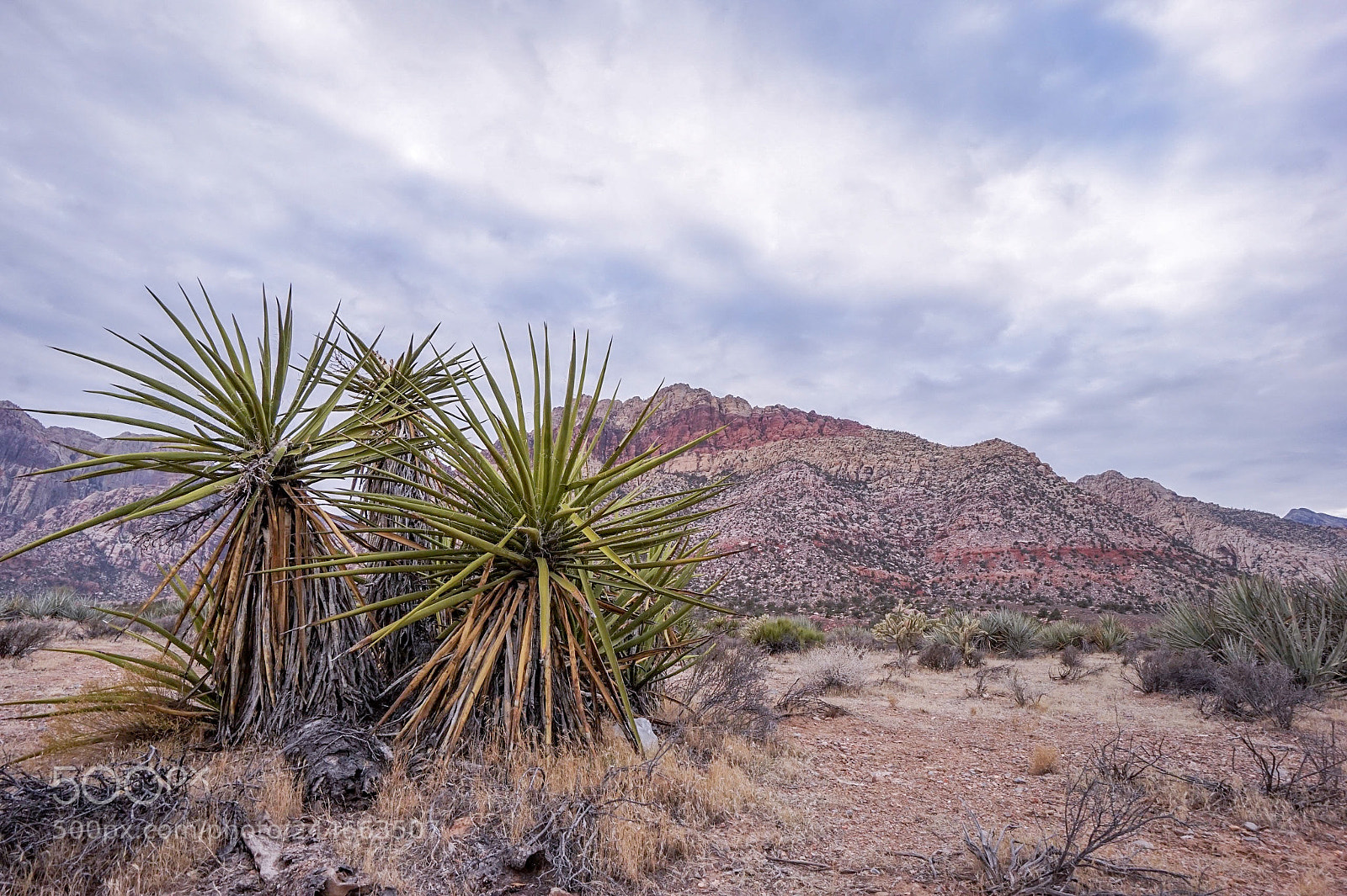 Sony Alpha a5000 (ILCE 5000) sample photo. Red rock canyon at photography
