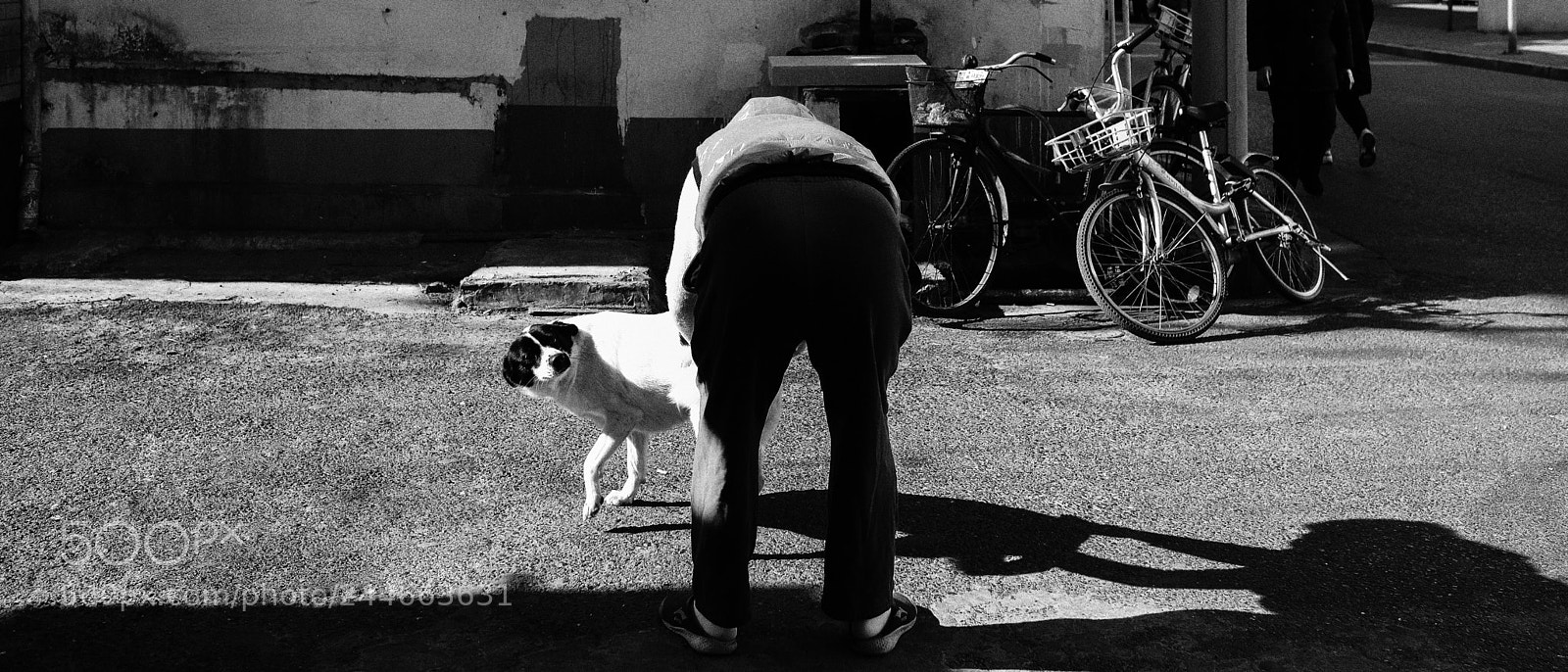 Fujifilm X-T2 sample photo. Untitled photography