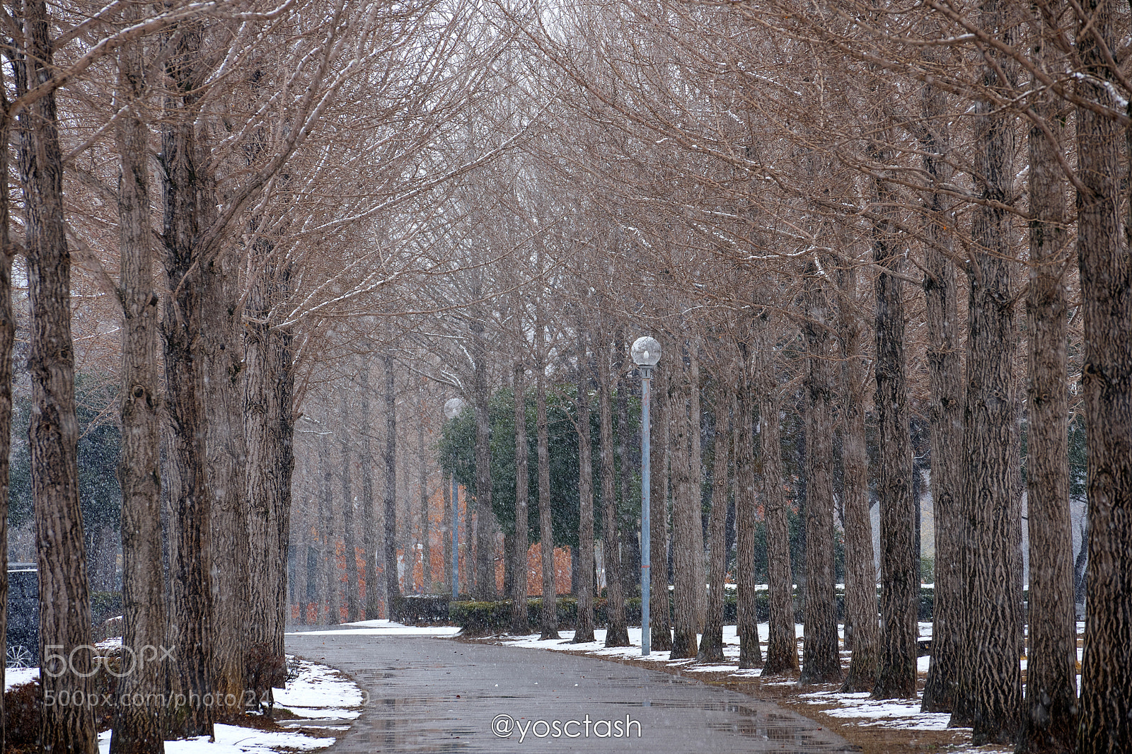 Sony a7 II sample photo. Second snow photography