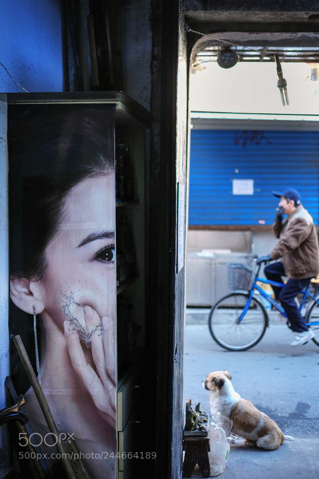 Fujifilm X-T2 sample photo. Untitled photography