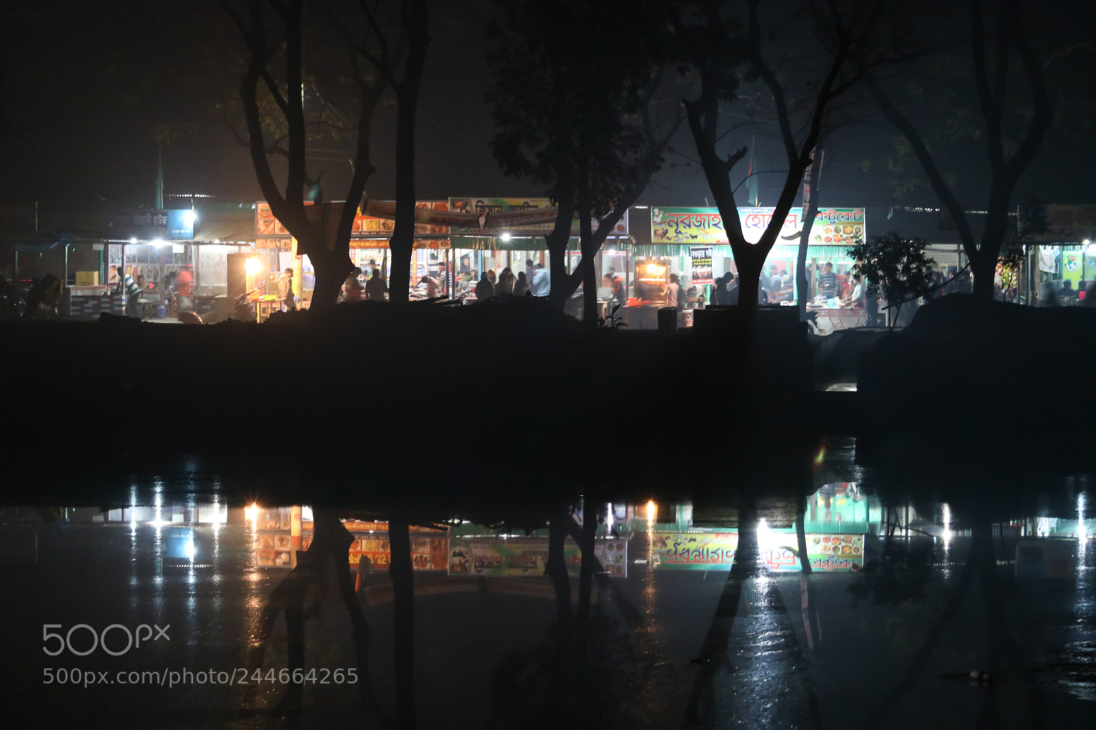 Canon EOS 750D (EOS Rebel T6i / EOS Kiss X8i) sample photo. Bottola photography
