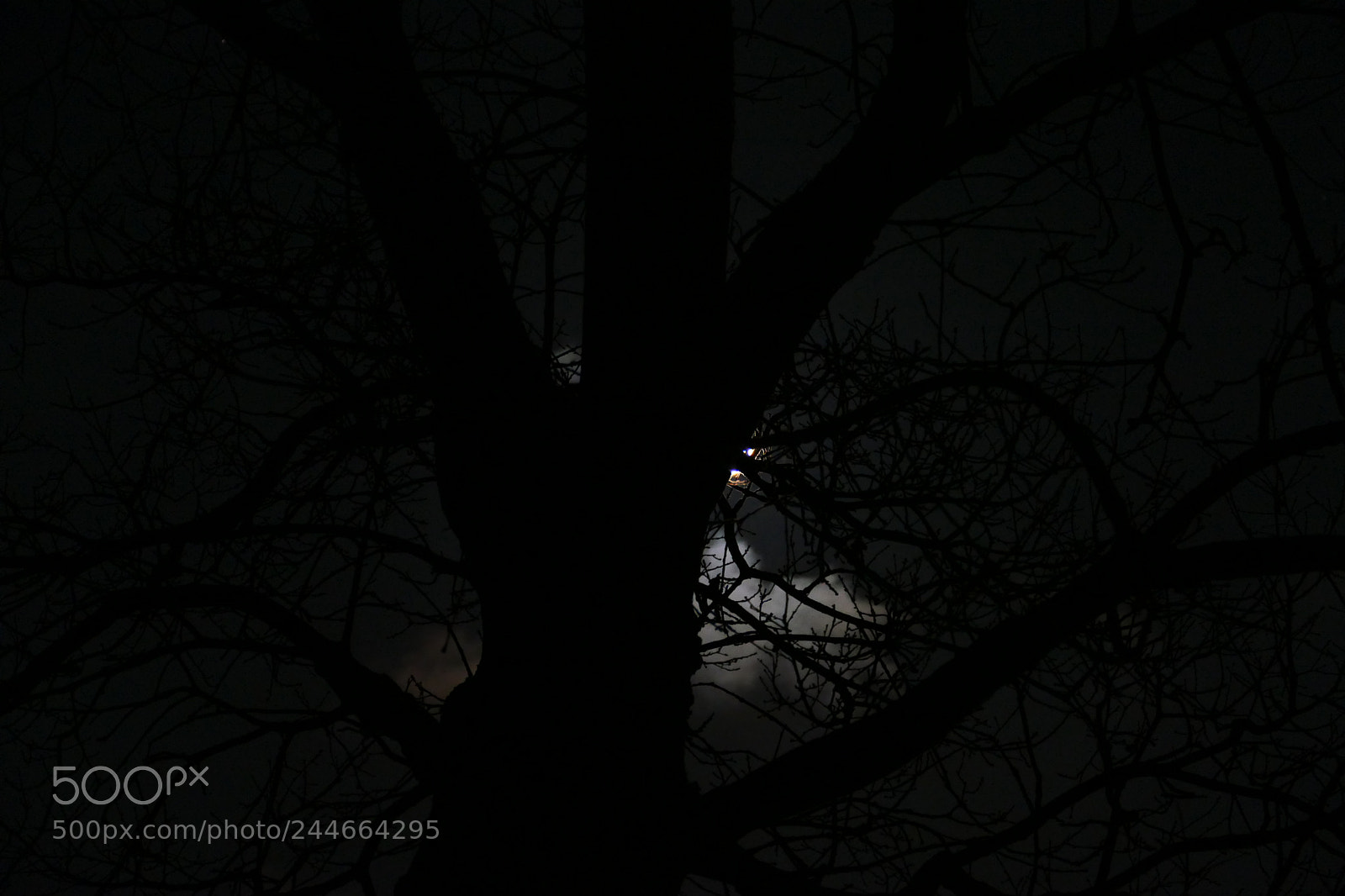 Panasonic Lumix DMC-FZ1000 sample photo. Hidden moon photography