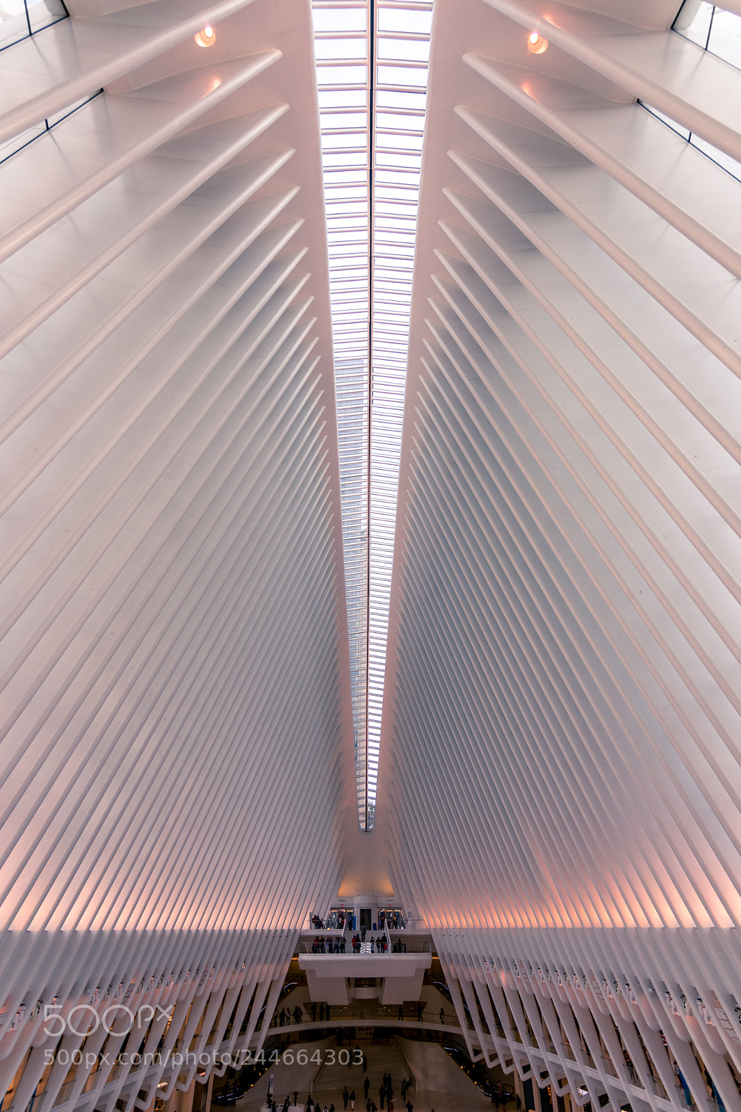 Nikon D3400 sample photo. Inside the oculus photography