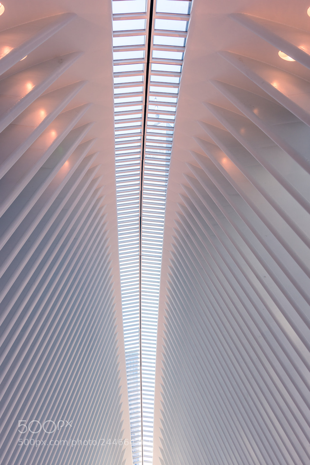 Nikon D3400 sample photo. Inside the oculus photography