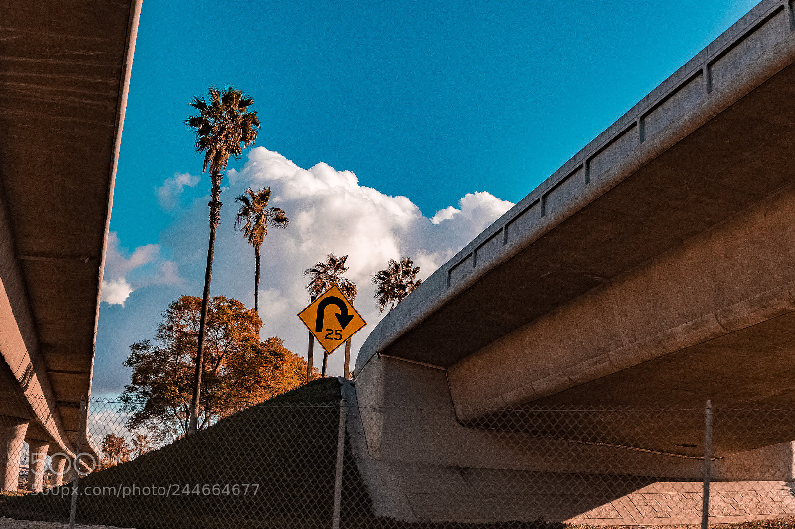 Canon EOS 7D Mark II sample photo. Cali fresh photography