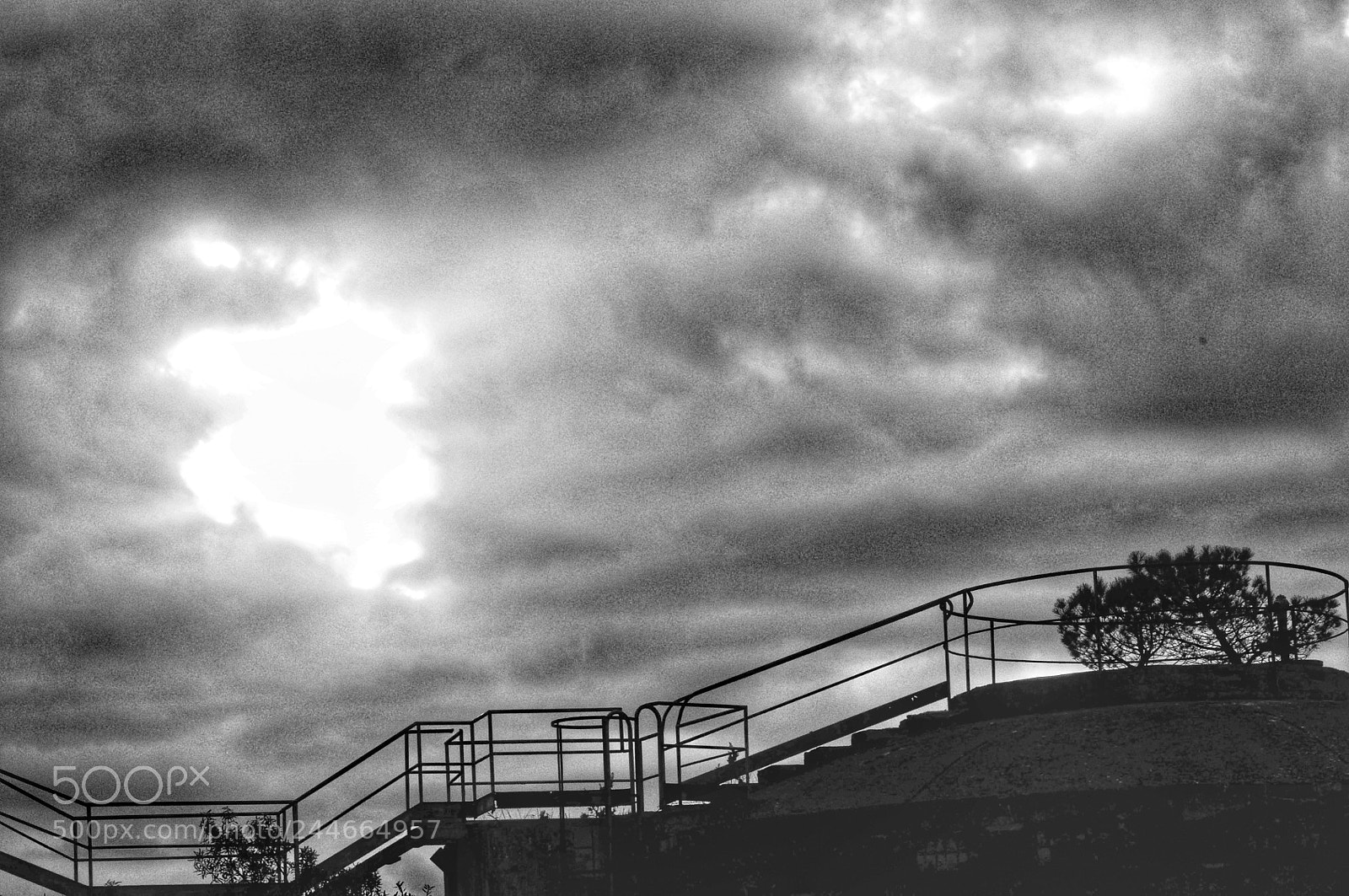 Nikon D300 sample photo. Untitled photography