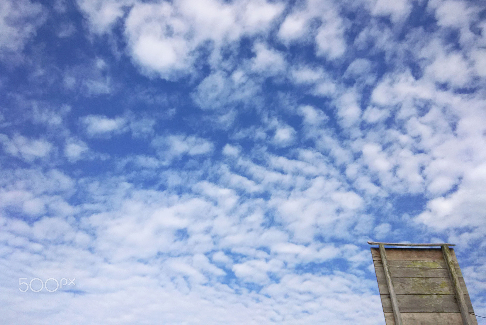 Xiaomi HM1S sample photo. Lovely afternoon photography