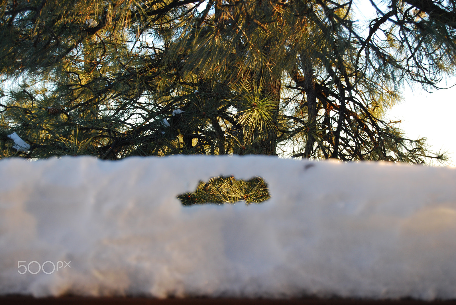 Nikon D40X sample photo. Little windown photography
